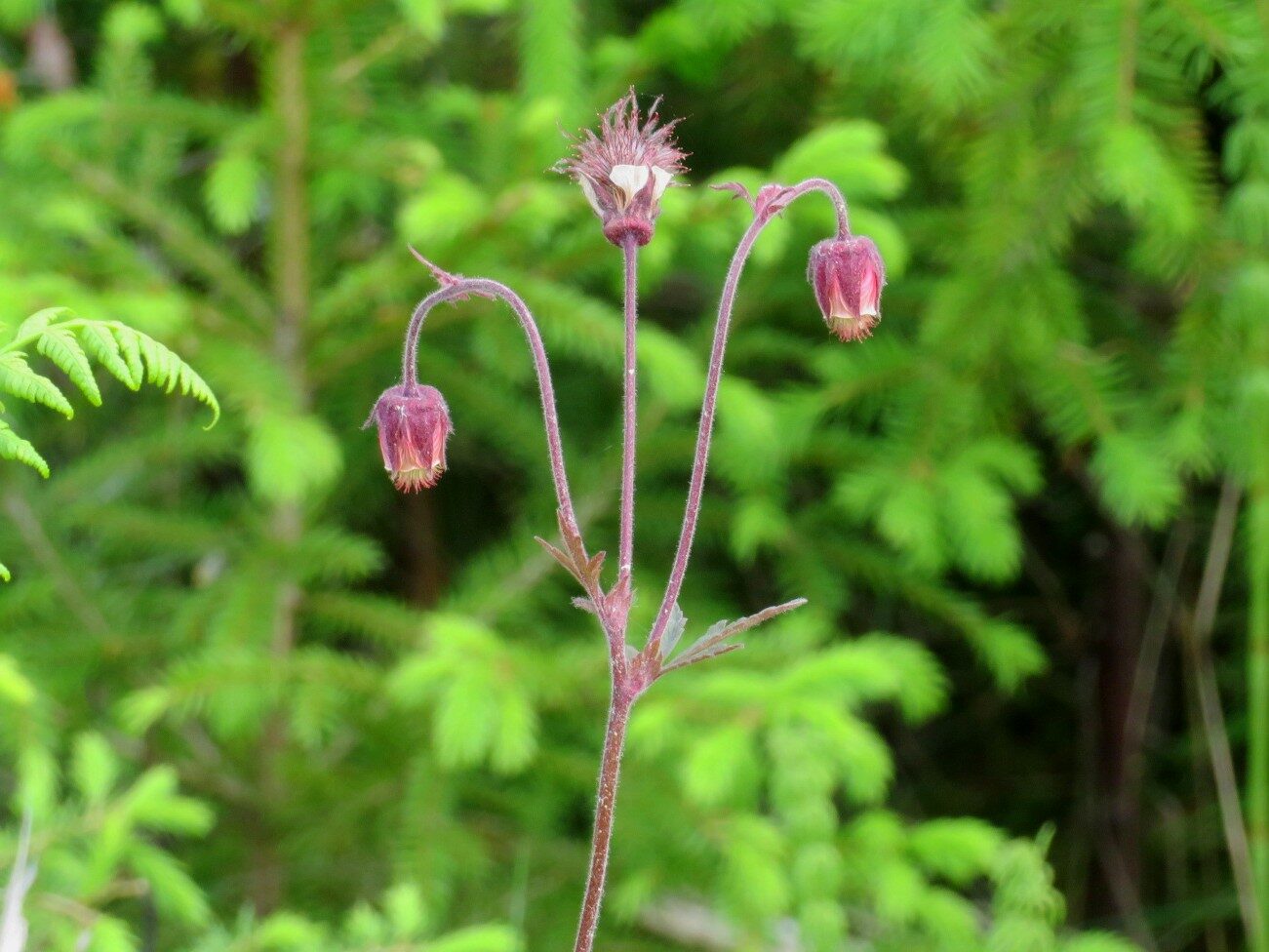 Valokuvaaja: Risto Kangassalo Valokuvaaja: Risto Kangassalo