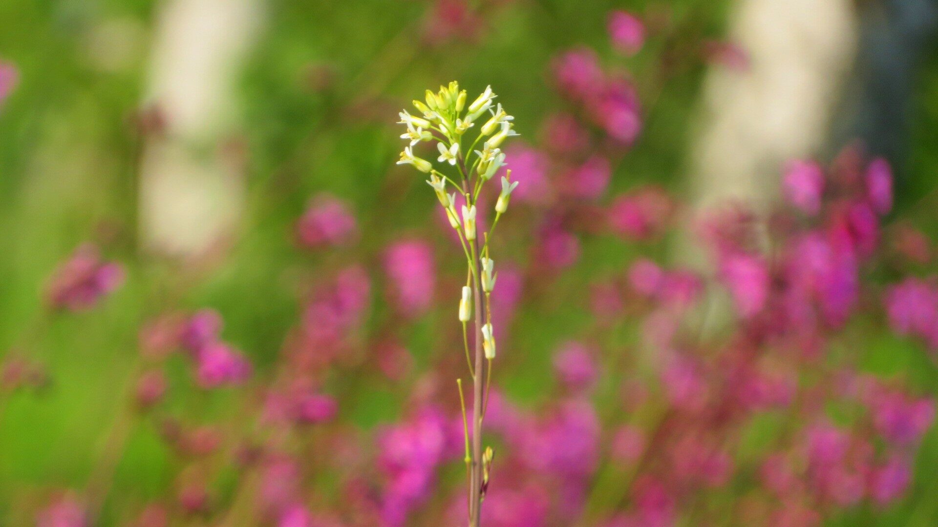 Valokuvaaja: Risto Kangassalo