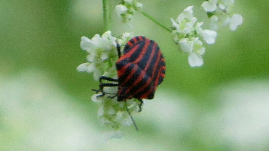 Valokuvaaja: Risto Kangassalo Valokuvaaja: Risto Kangassalo