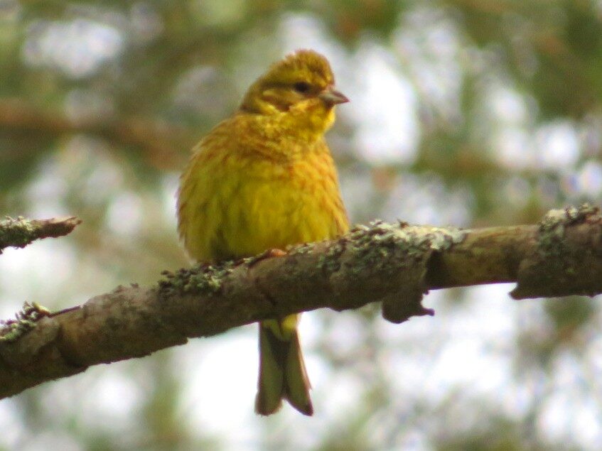 Valokuvaaja: Risto Kangassalo Valokuvaaja: Risto Kangassalo