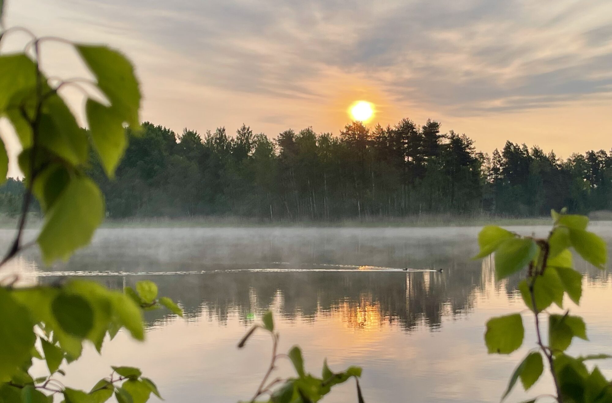 Valokuvaaja: Liisa Niiva-Korpela