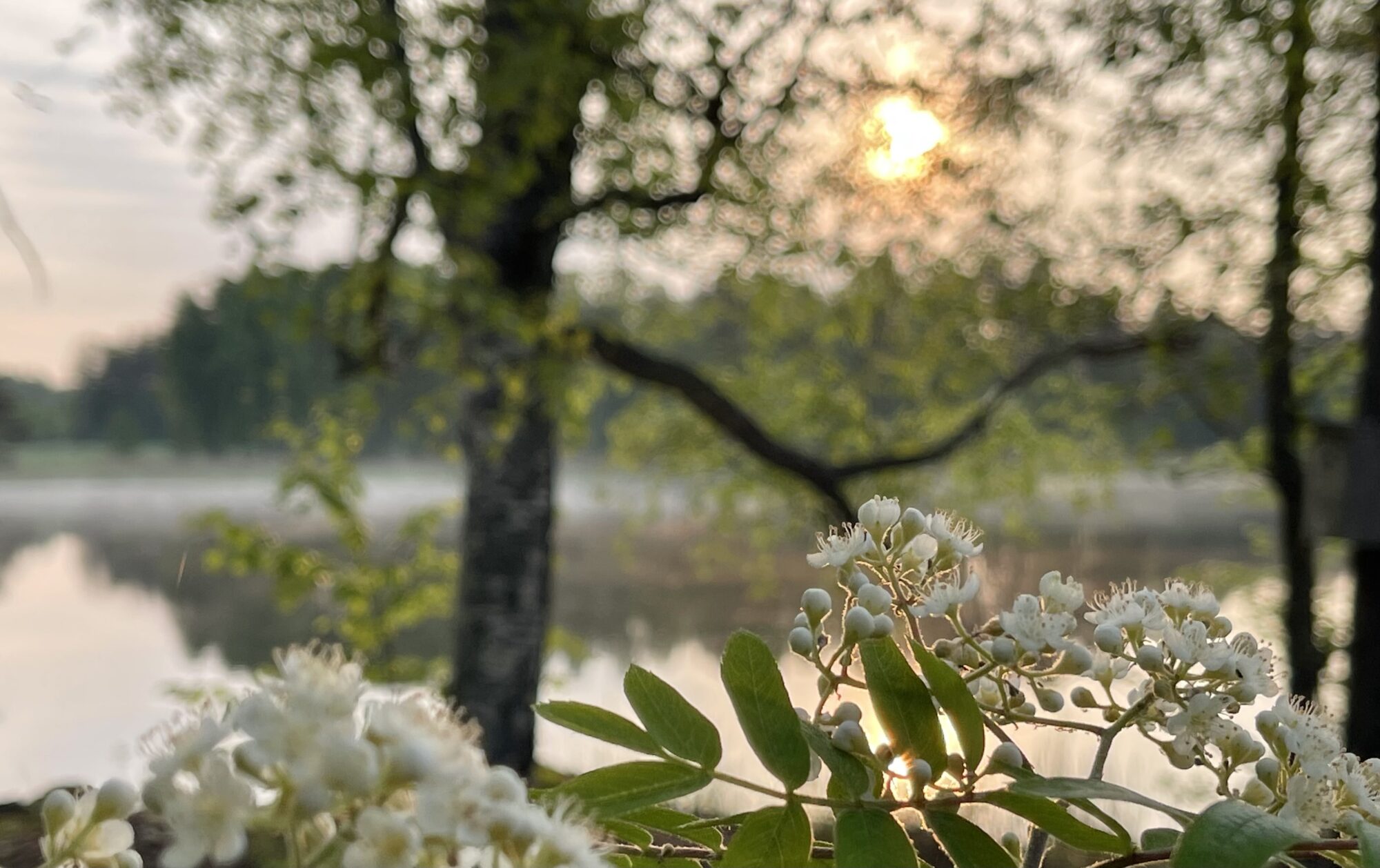 Valokuvaaja: Liisa Niiva-Korpela