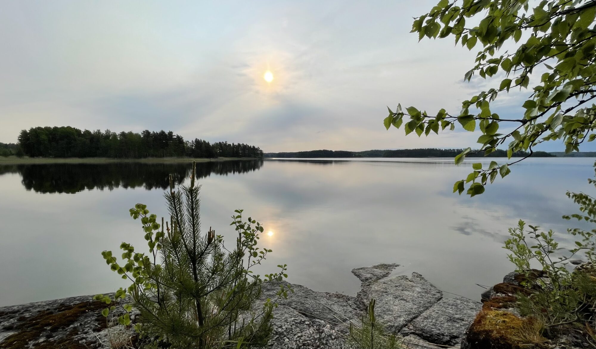 Valokuvaaja: Liisa Niiva-Korpela