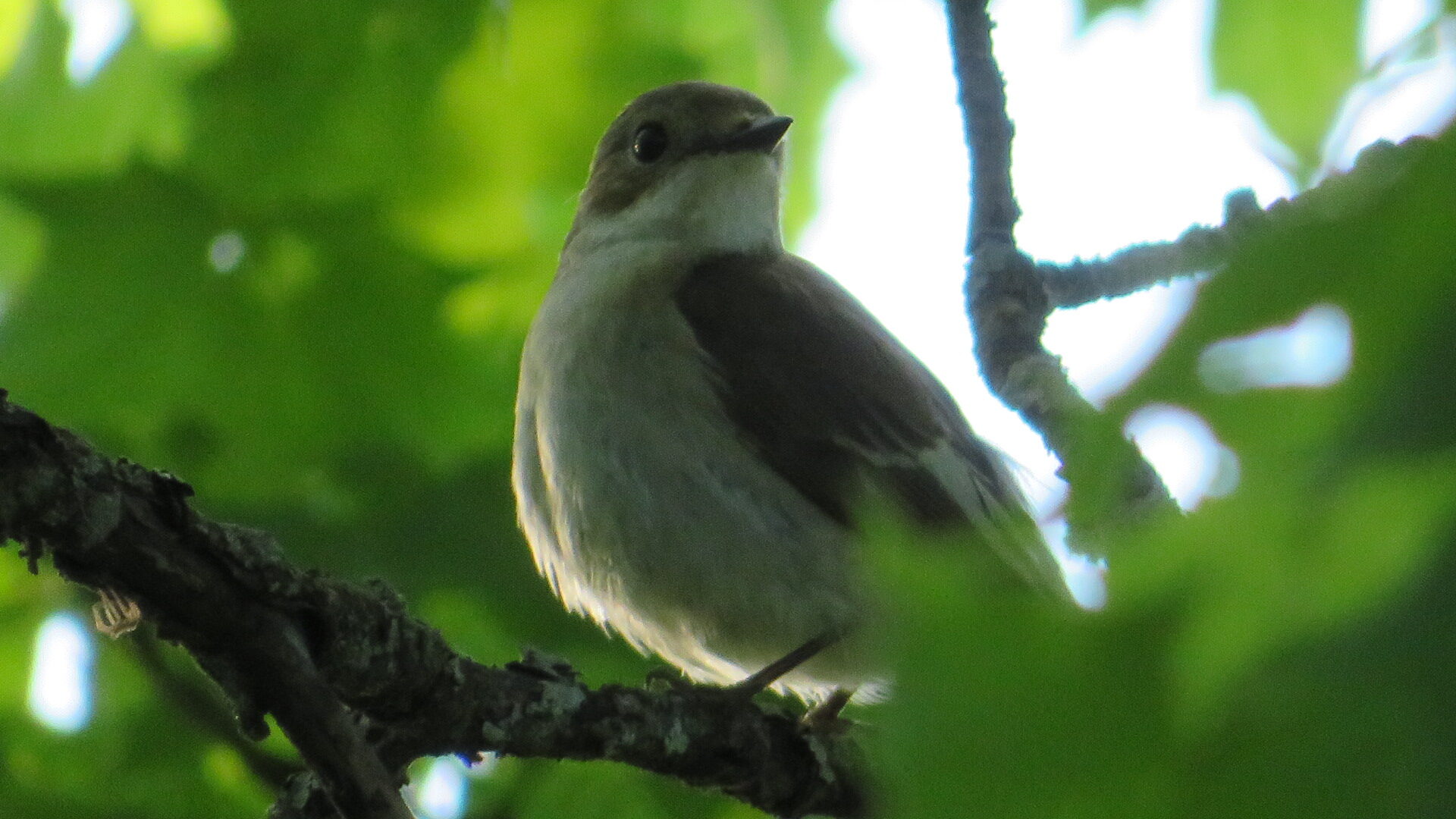 Valokuvaaja: Risto Kangassalo