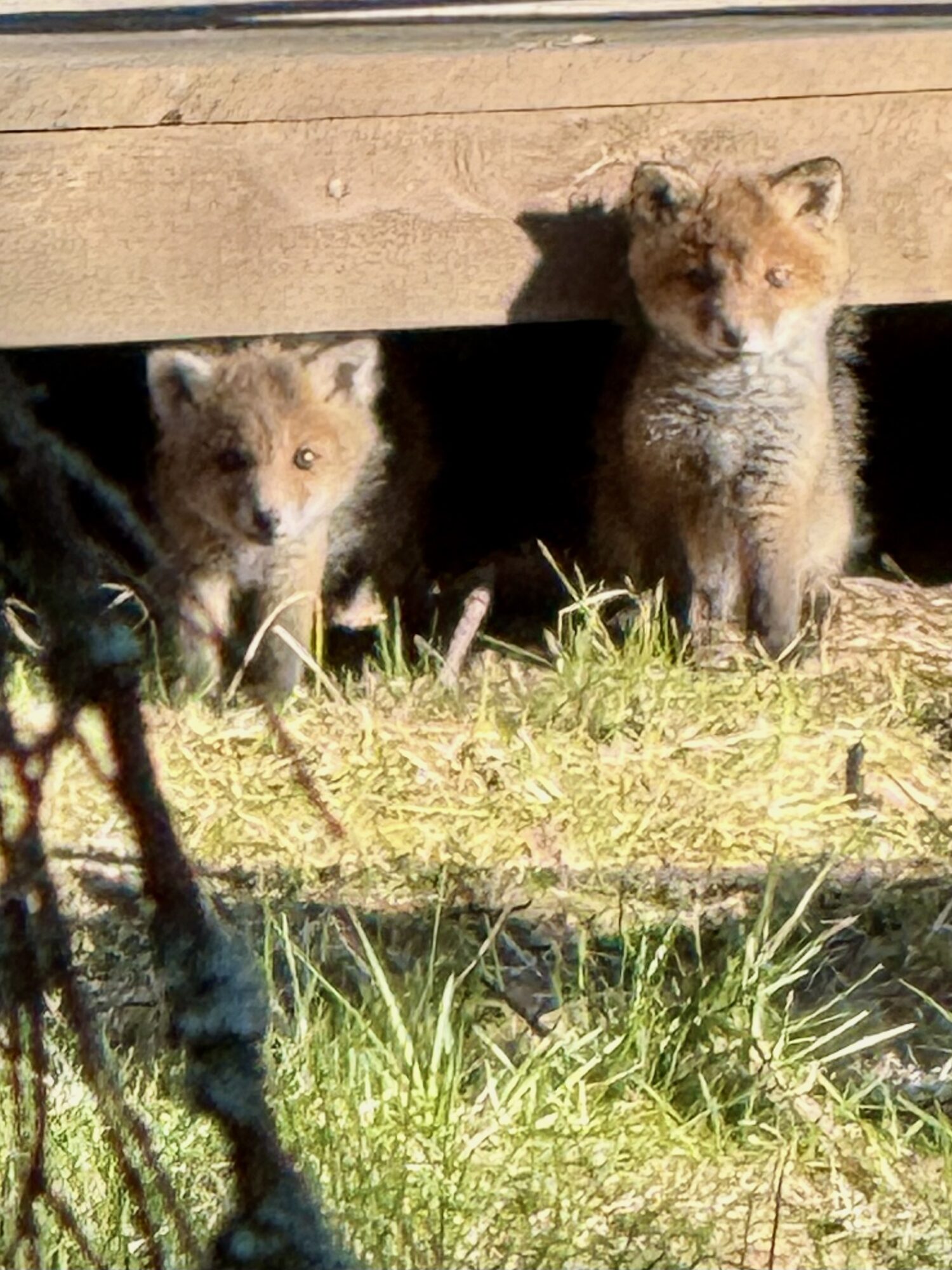 Valokuvaaja: Rainer Korpela