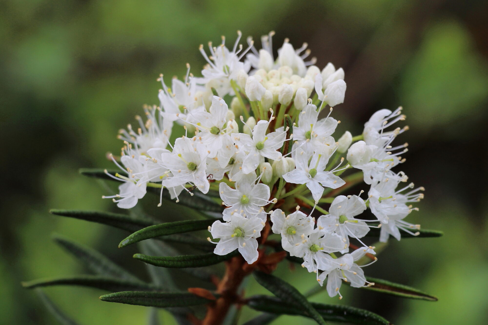 Valokuvaaja: Kirsi-Marja Joenpolvi