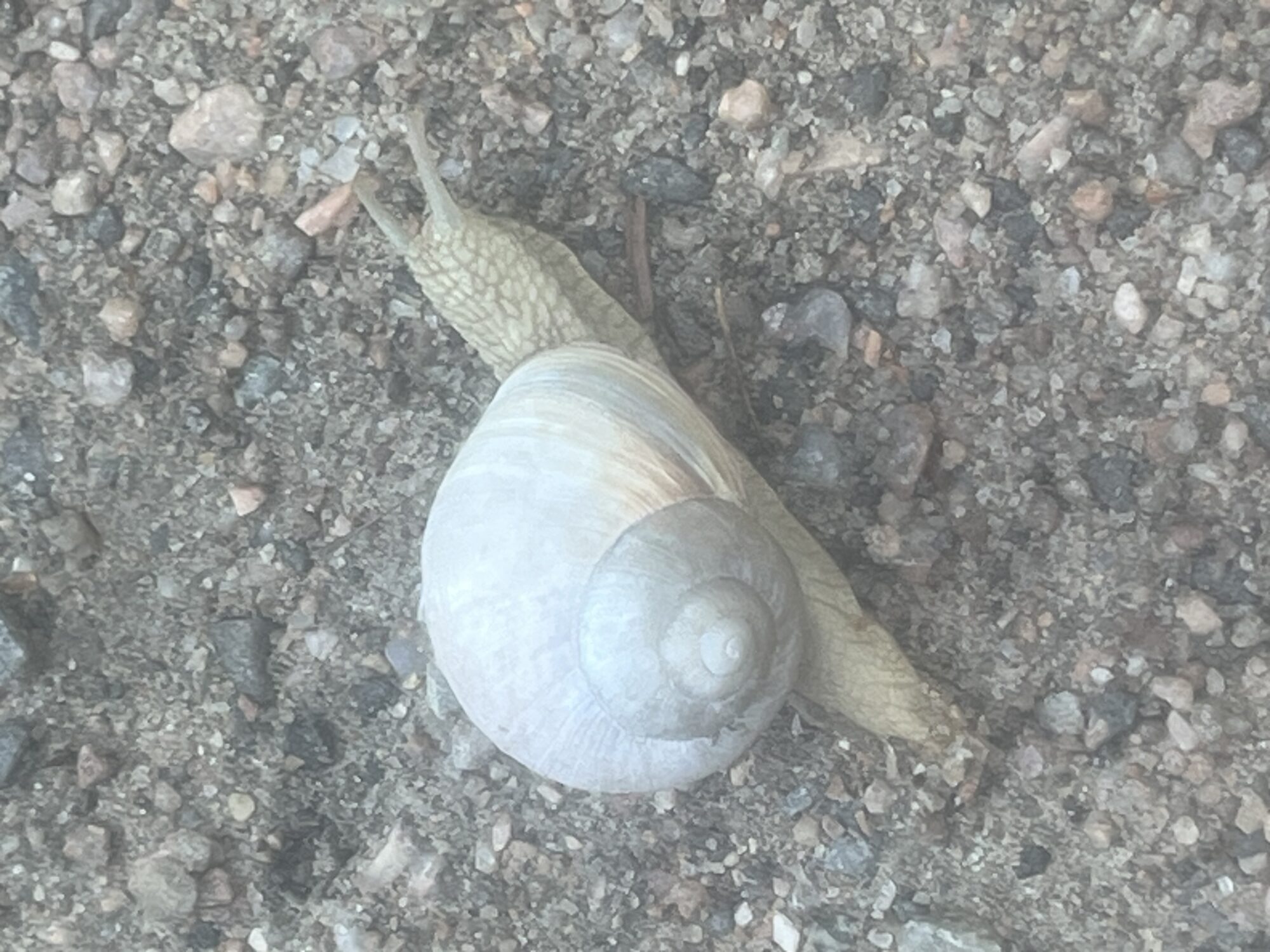 Valokuvaaja: Nora Juva