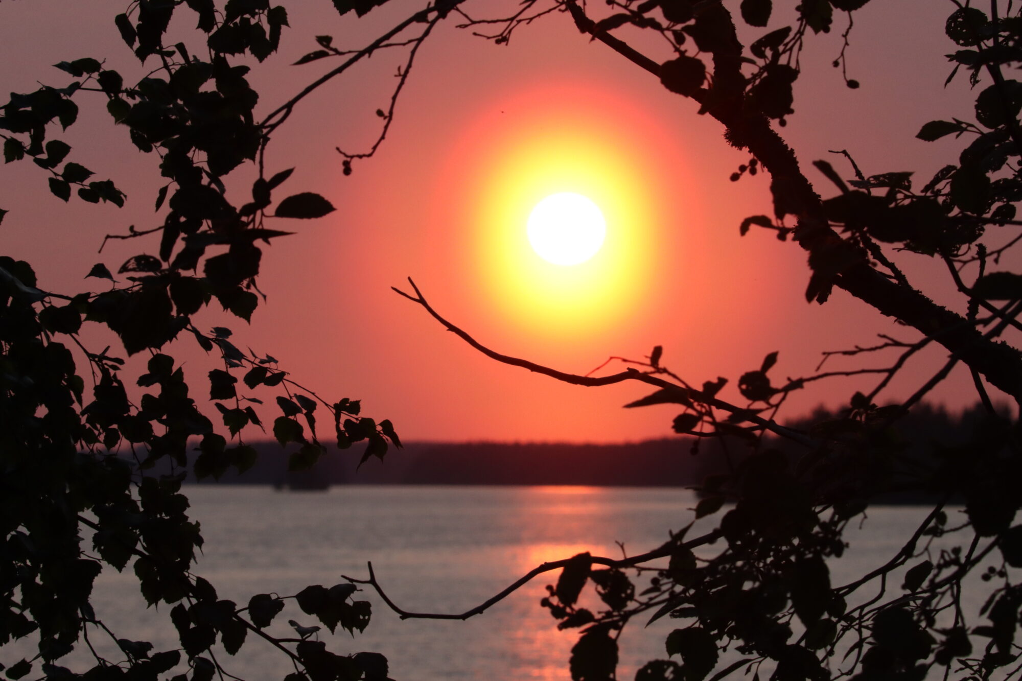 Valokuvaaja: Irja lehtinen