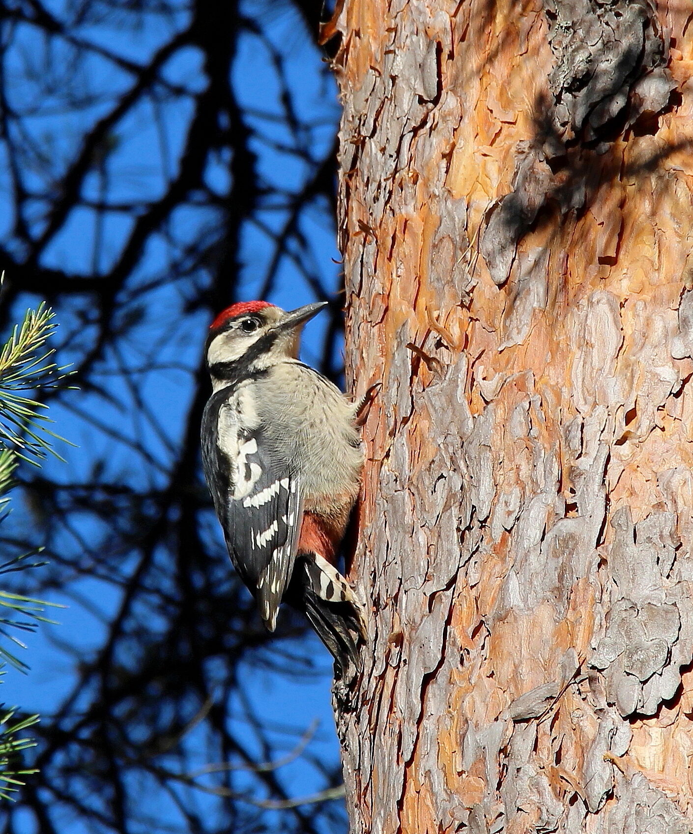 Valokuvaaja: Kirsi-Marja Joenpolvi