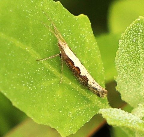 Valokuvaaja: Kaarina Heiskanen