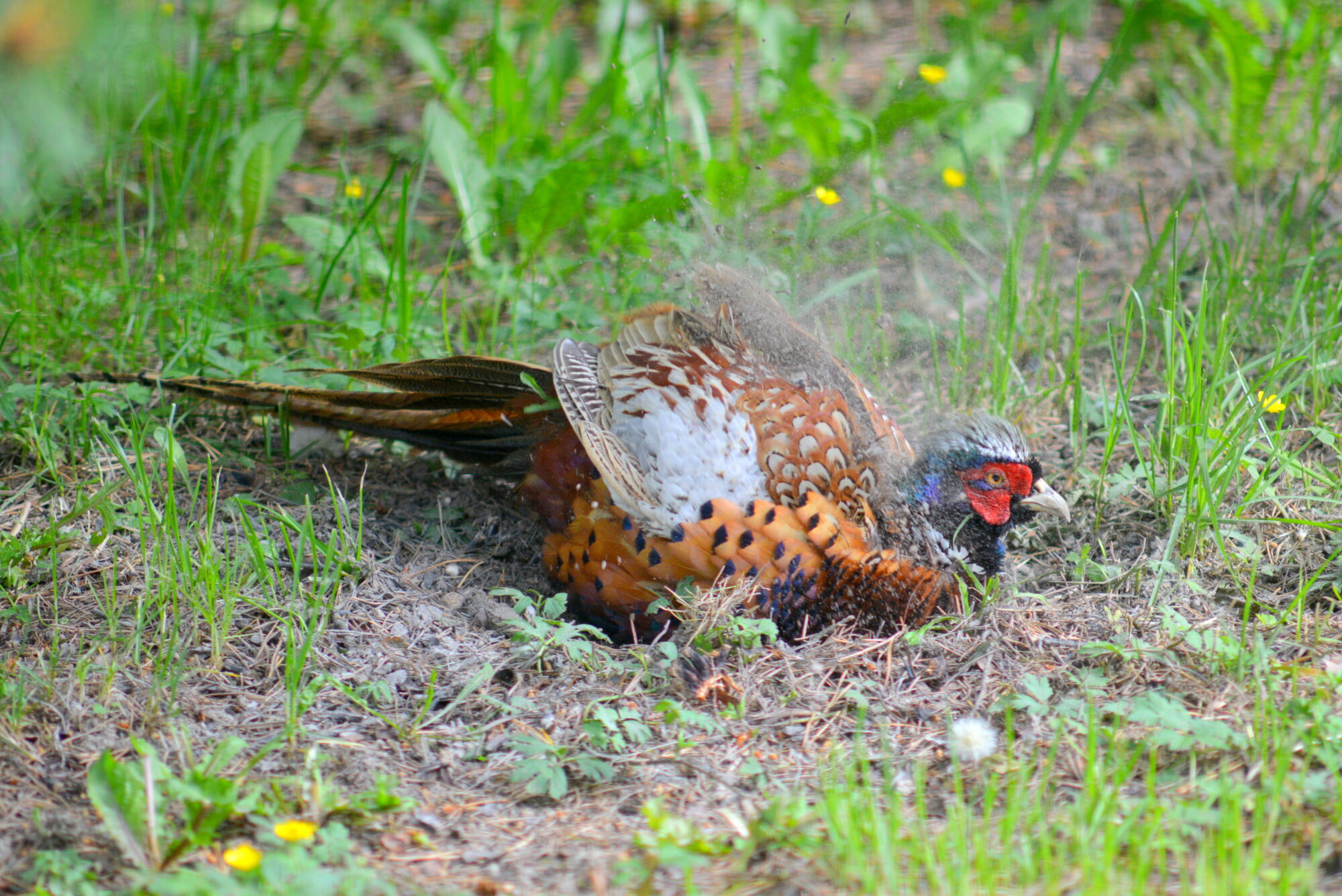 Valokuvaaja: Kaarlo Asikainen Valokuvaaja: Kaarlo Asikainen