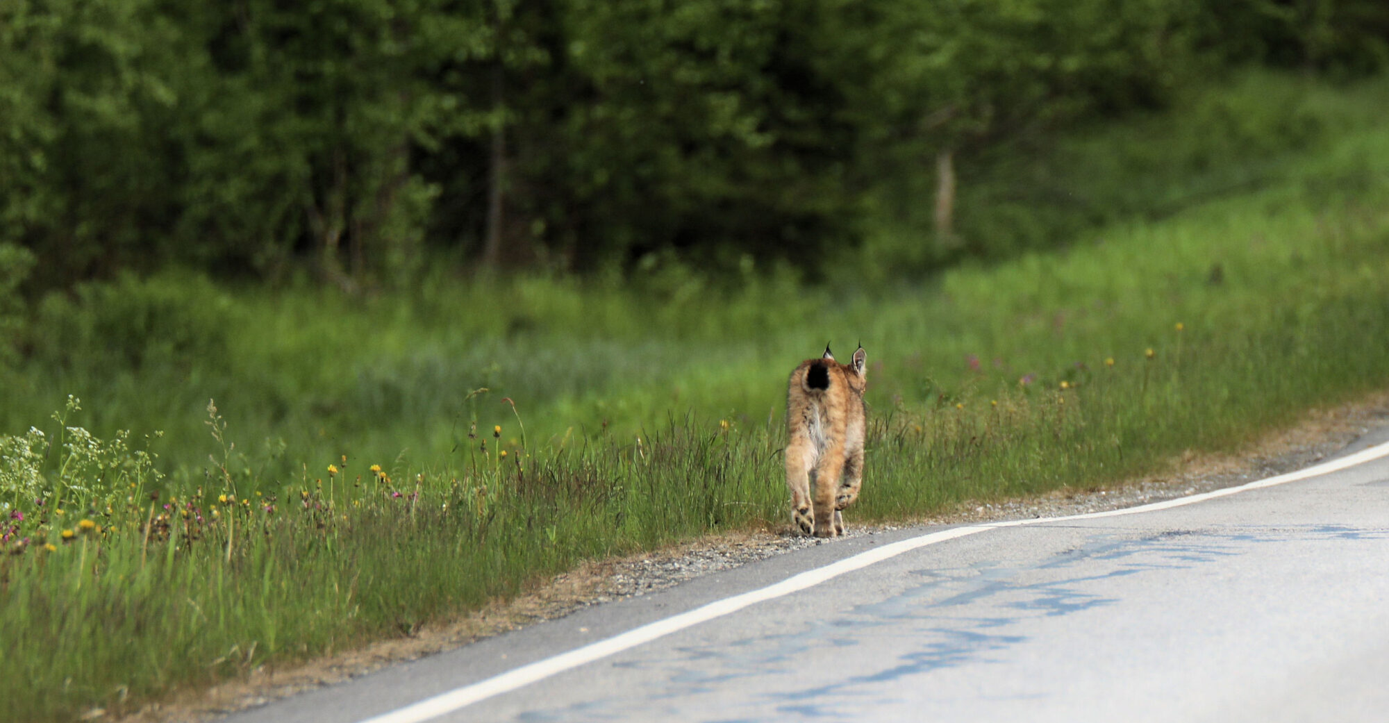 Valokuvaaja: Ahti Keränen
