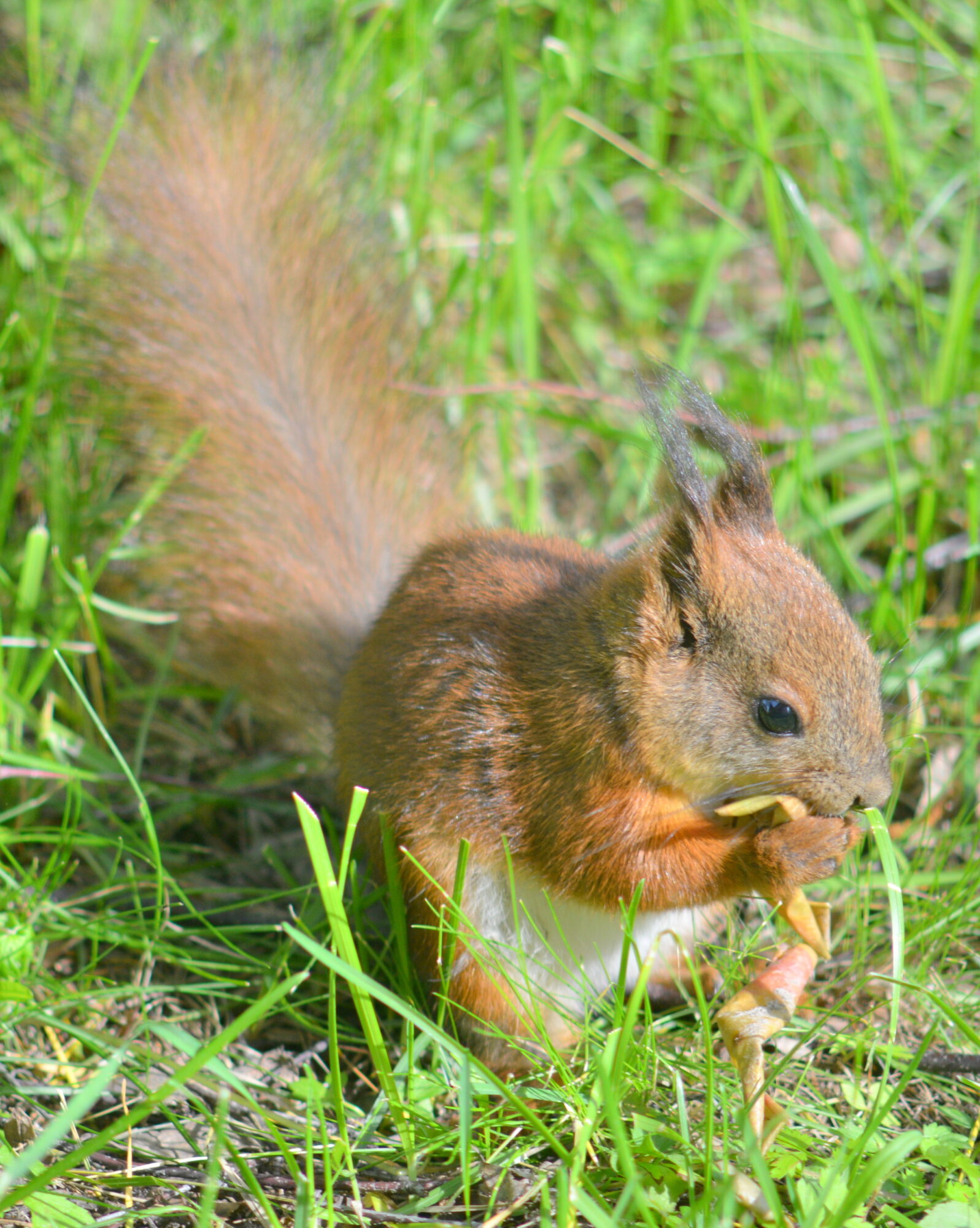 Valokuvaaja: Kaarlo Asikainen Valokuvaaja: Kaarlo Asikainen