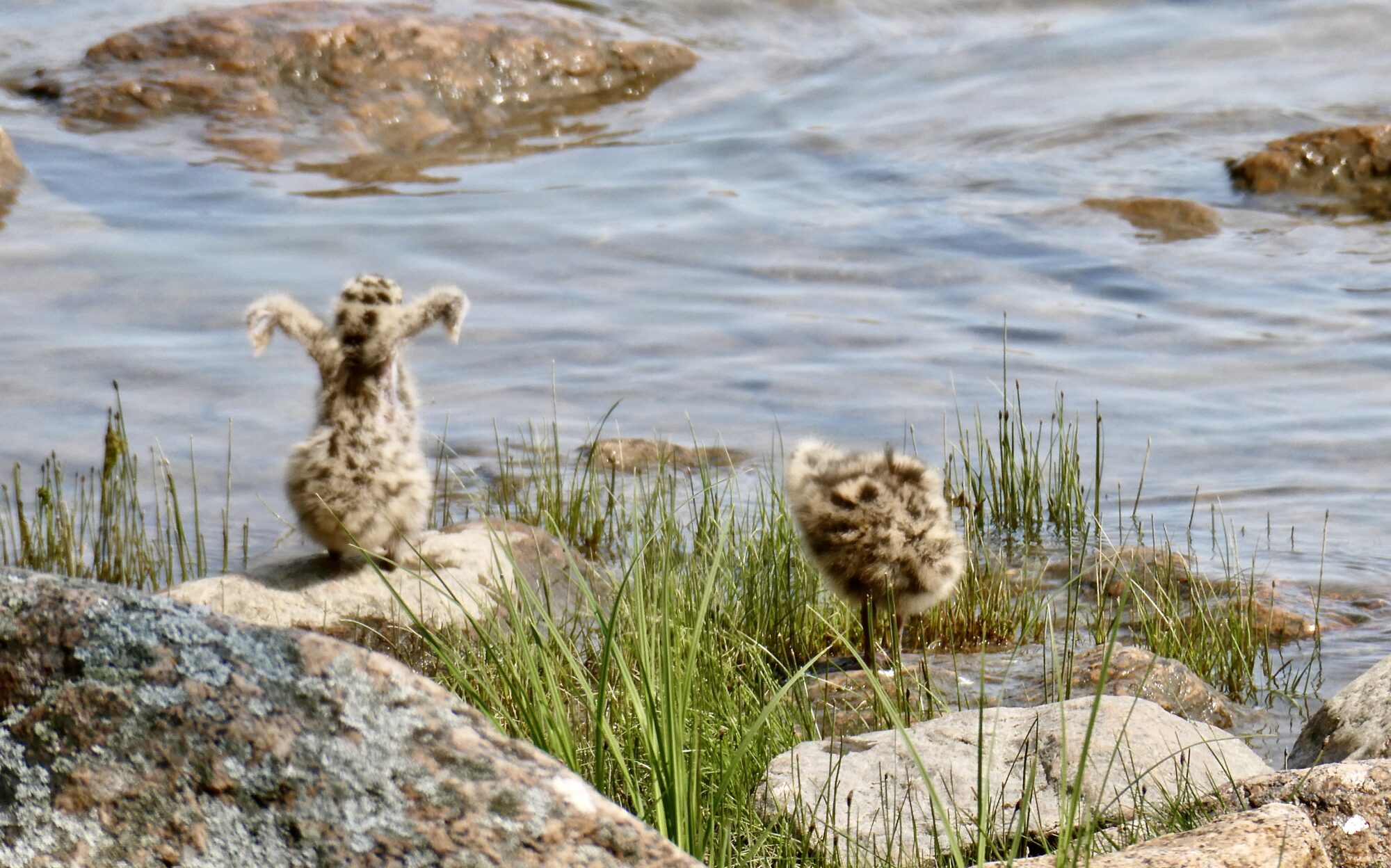 Valokuvaaja: Liisa Niiva-Korpela