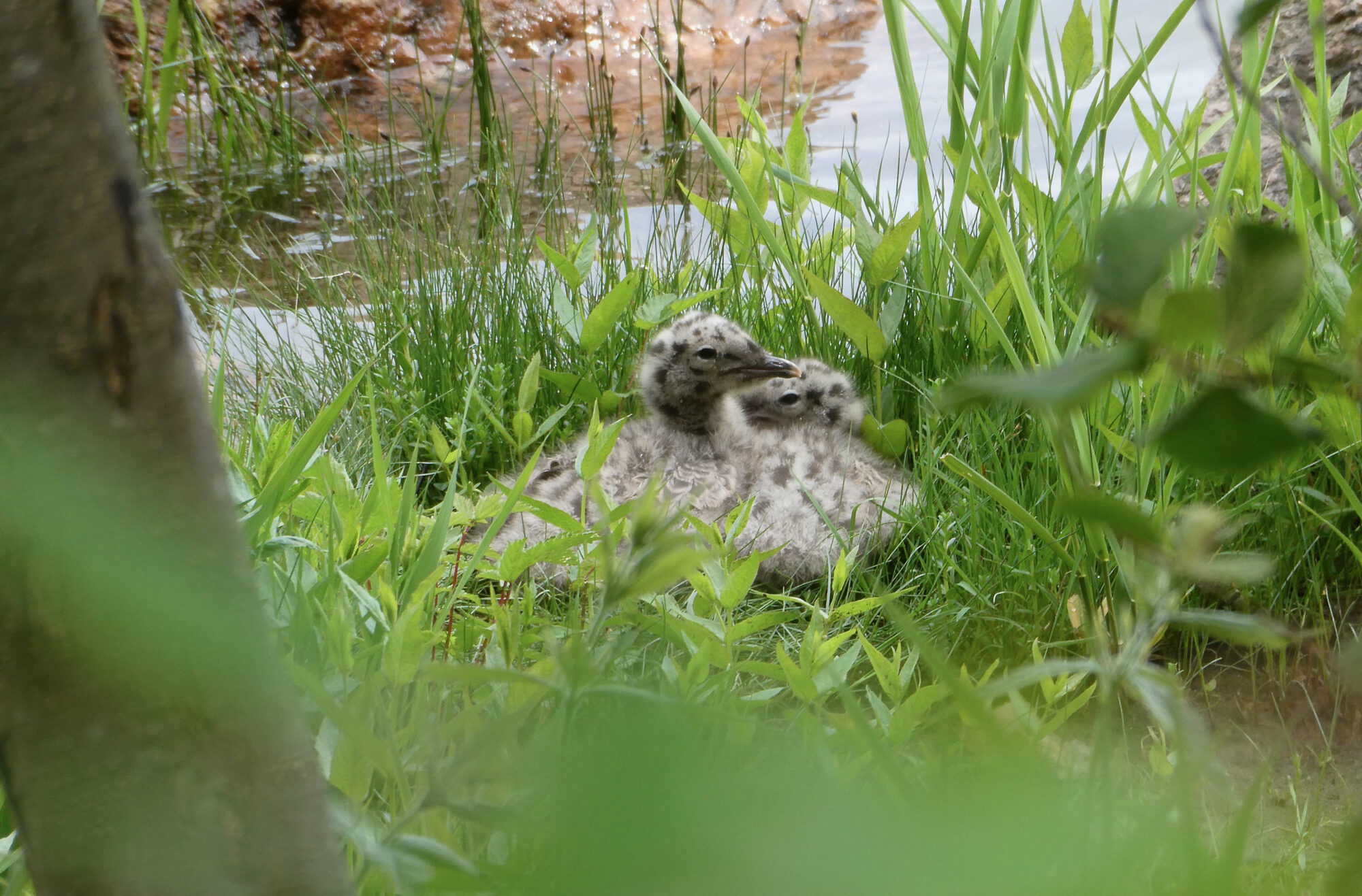 Valokuvaaja: Liisa Niiva-Korpela