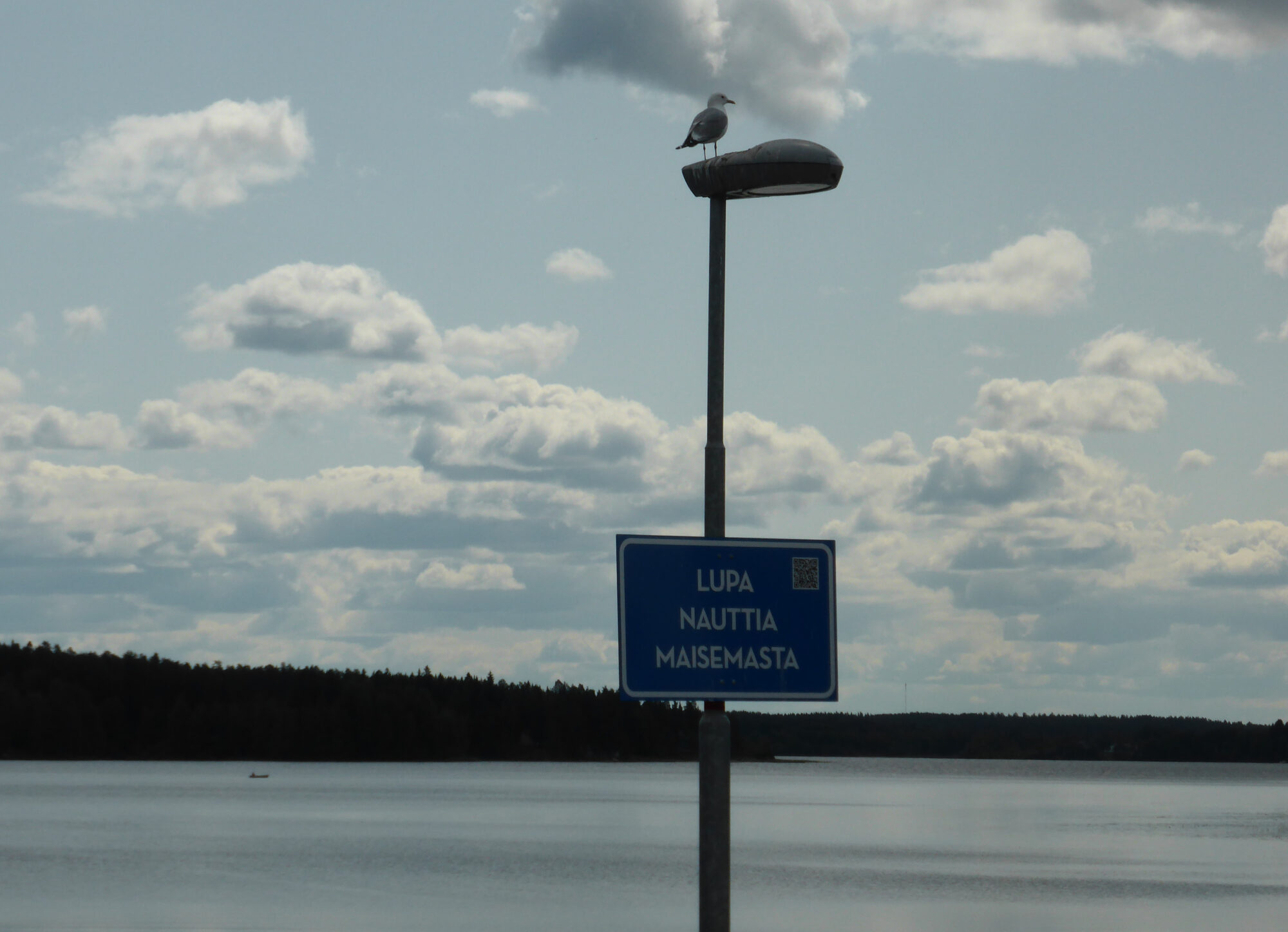 Valokuvaaja: Toni Asikainen