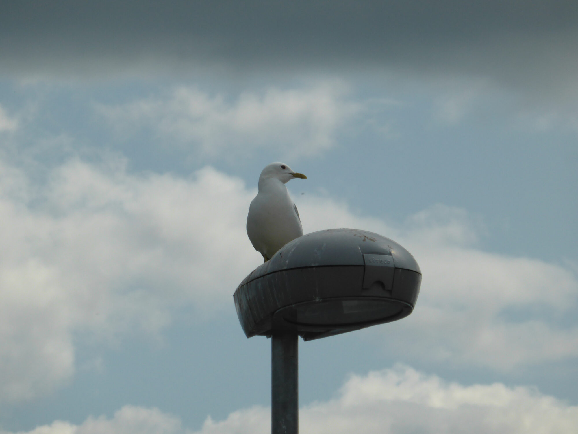 Valokuvaaja: Toni Asikainen