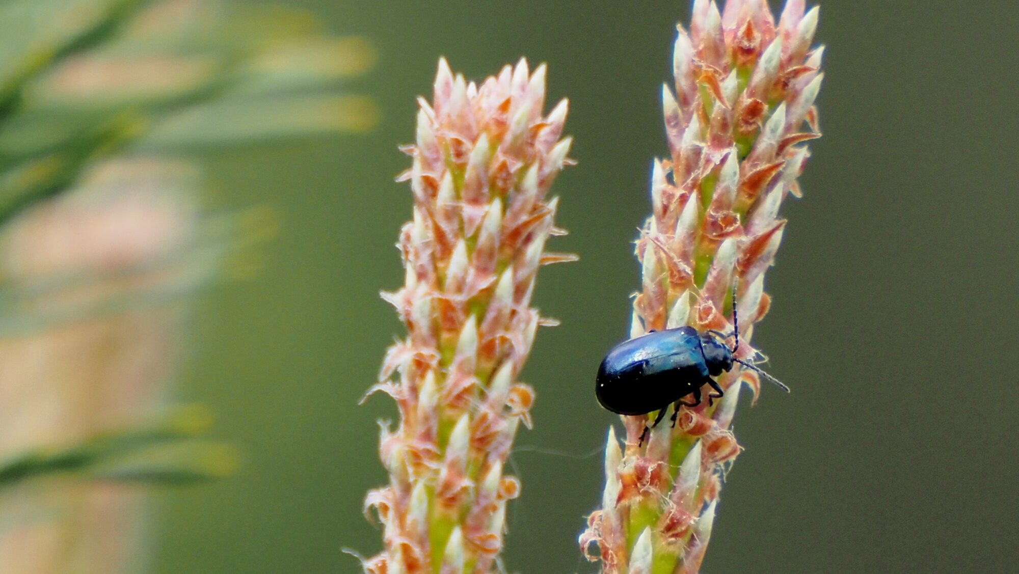 Valokuvaaja: Arja Valtonen