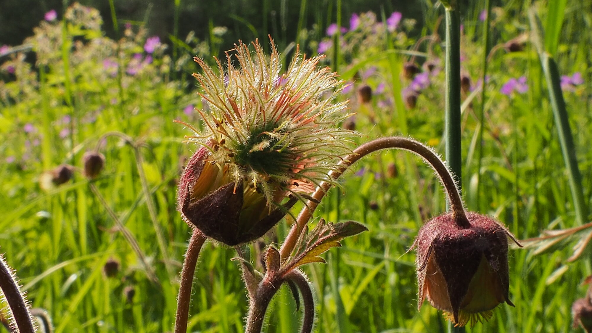Valokuvaaja: Martti Valtonen