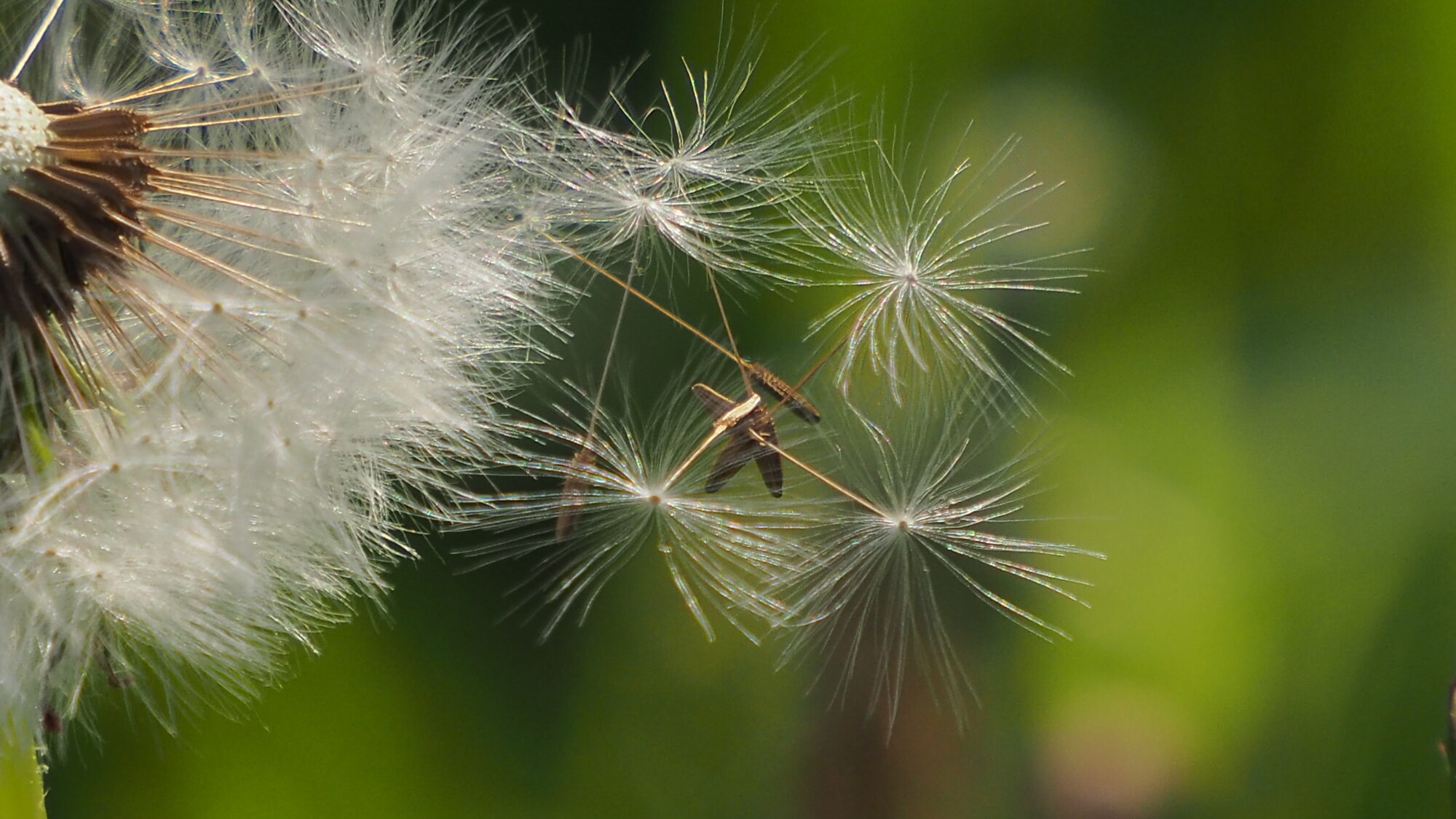 Valokuvaaja: Martti Valtonen