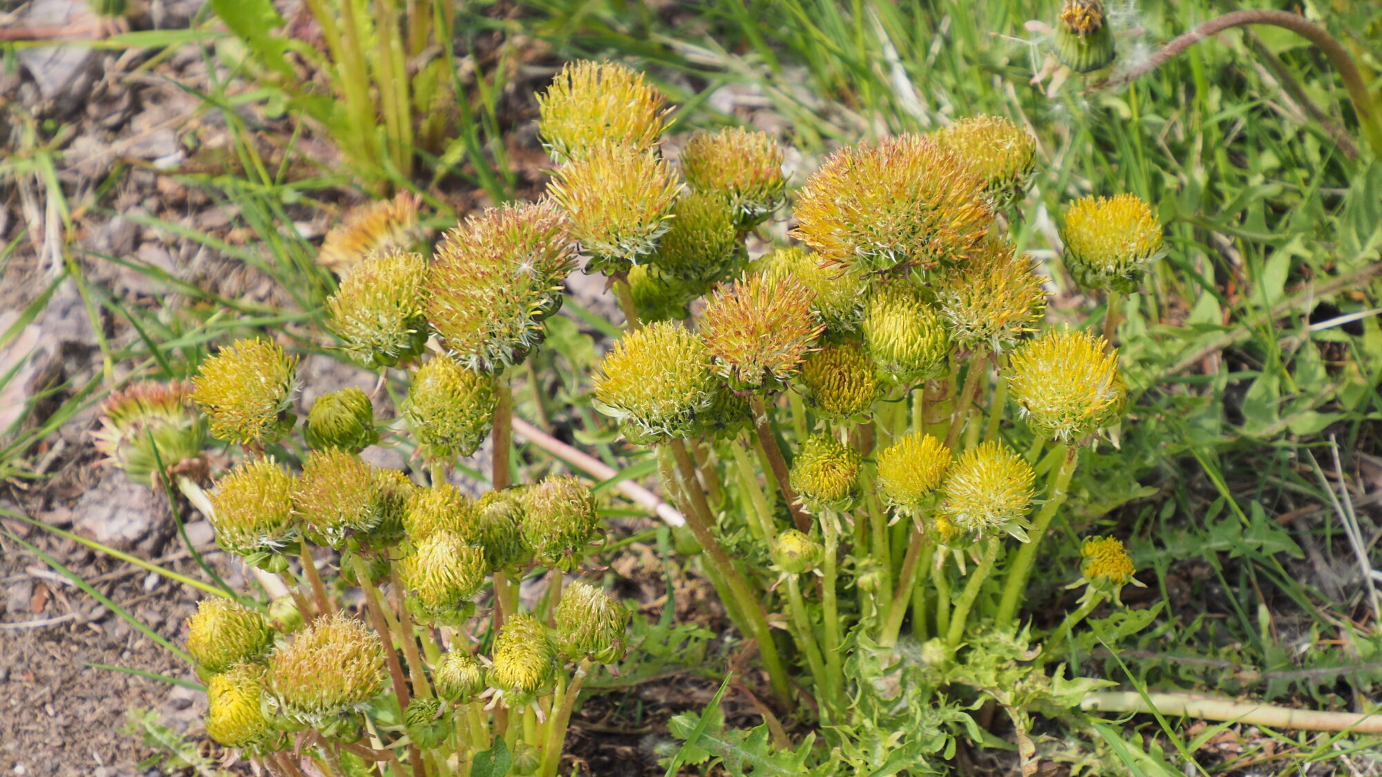 Valokuvaaja: Martti Valtonen