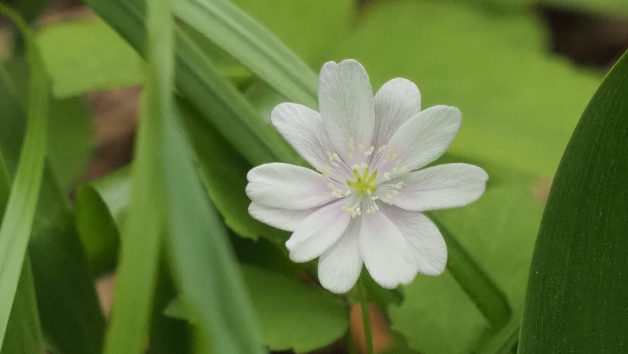 Valokuvaaja: Martti Valtonen Valokuvaaja: Martti Valtonen