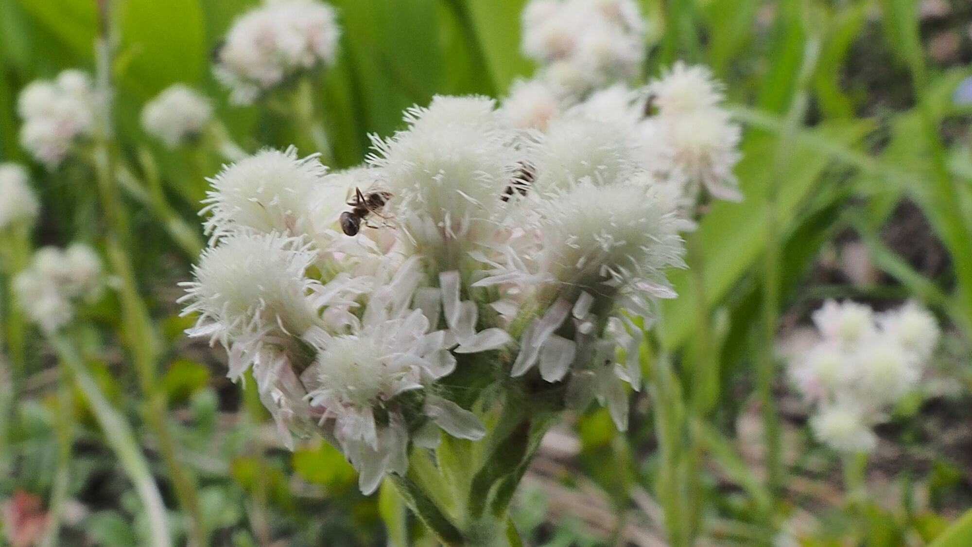 Valokuvaaja: Martti Valtonen