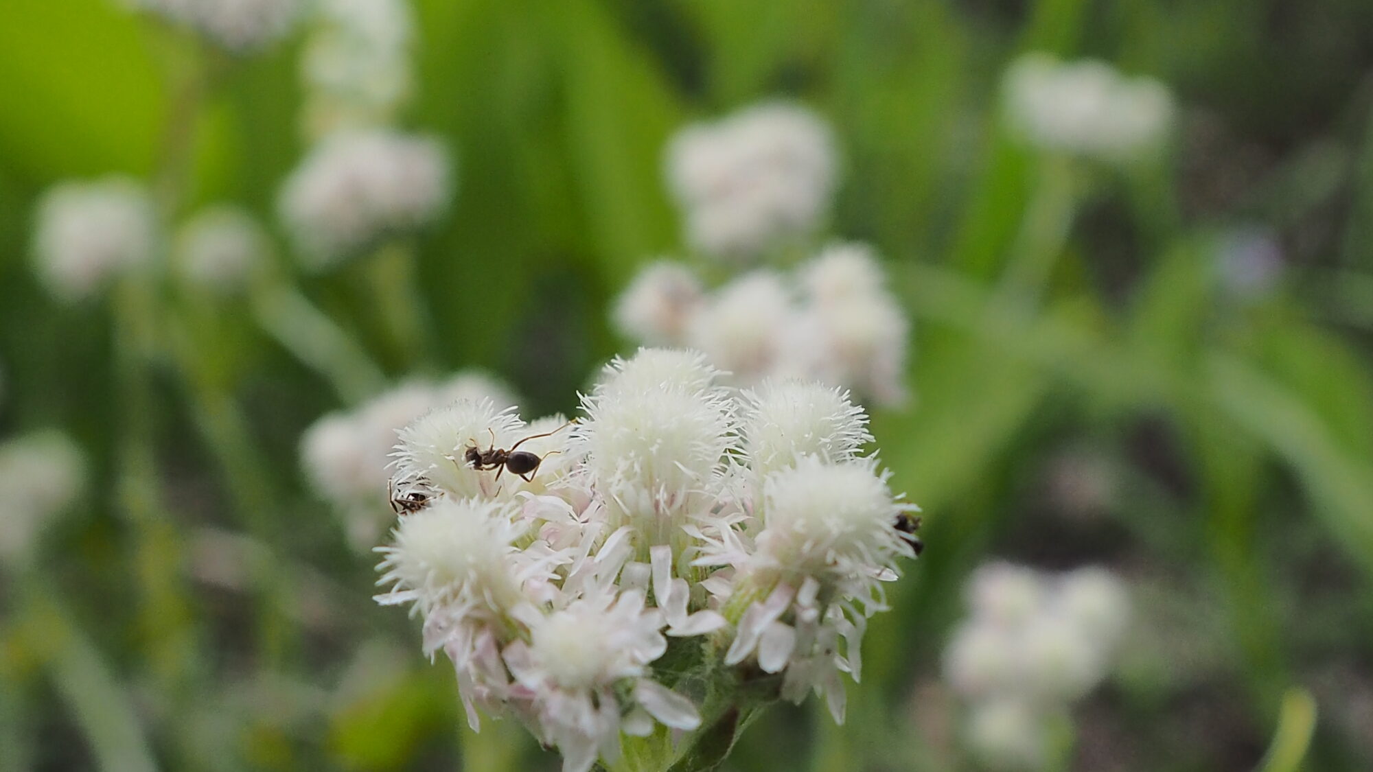 Valokuvaaja: Martti Valtonen Valokuvaaja: Martti Valtonen