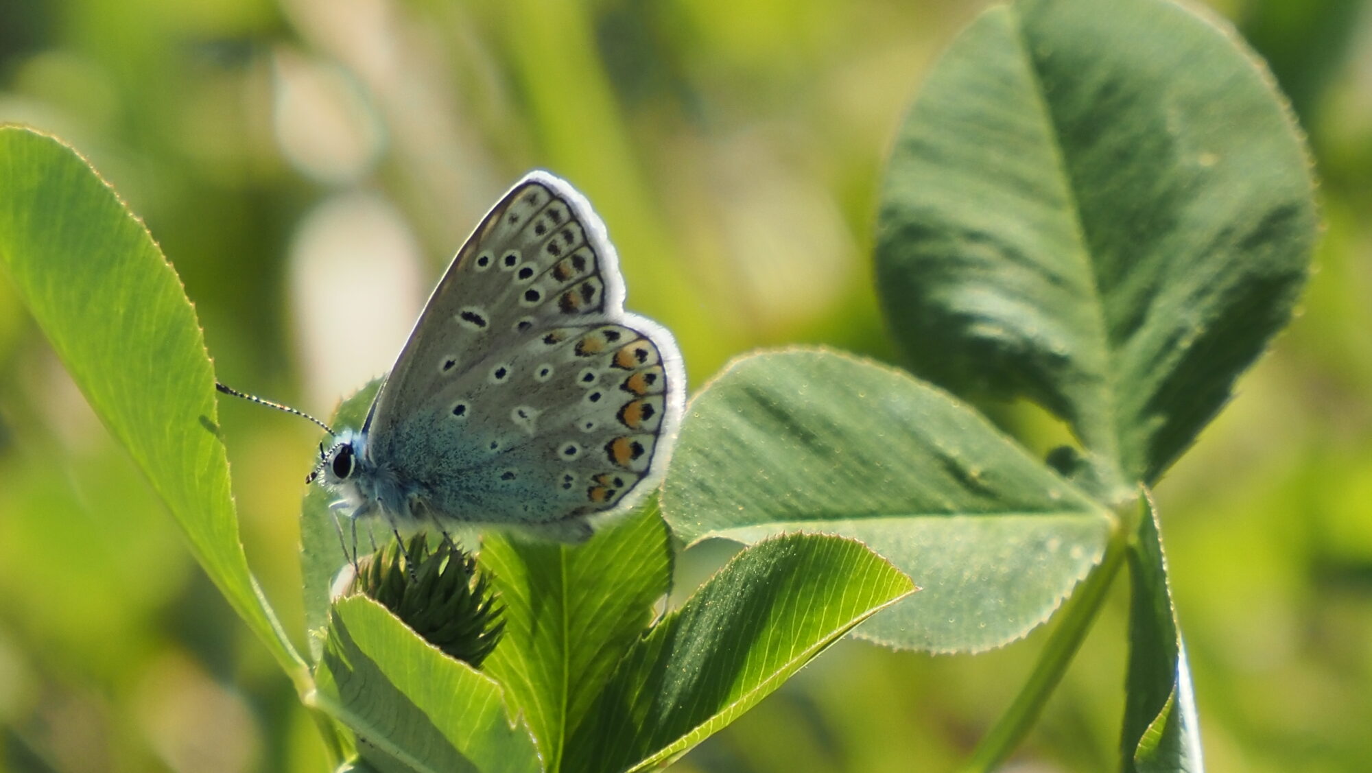 Valokuvaaja: Arja Valtonen