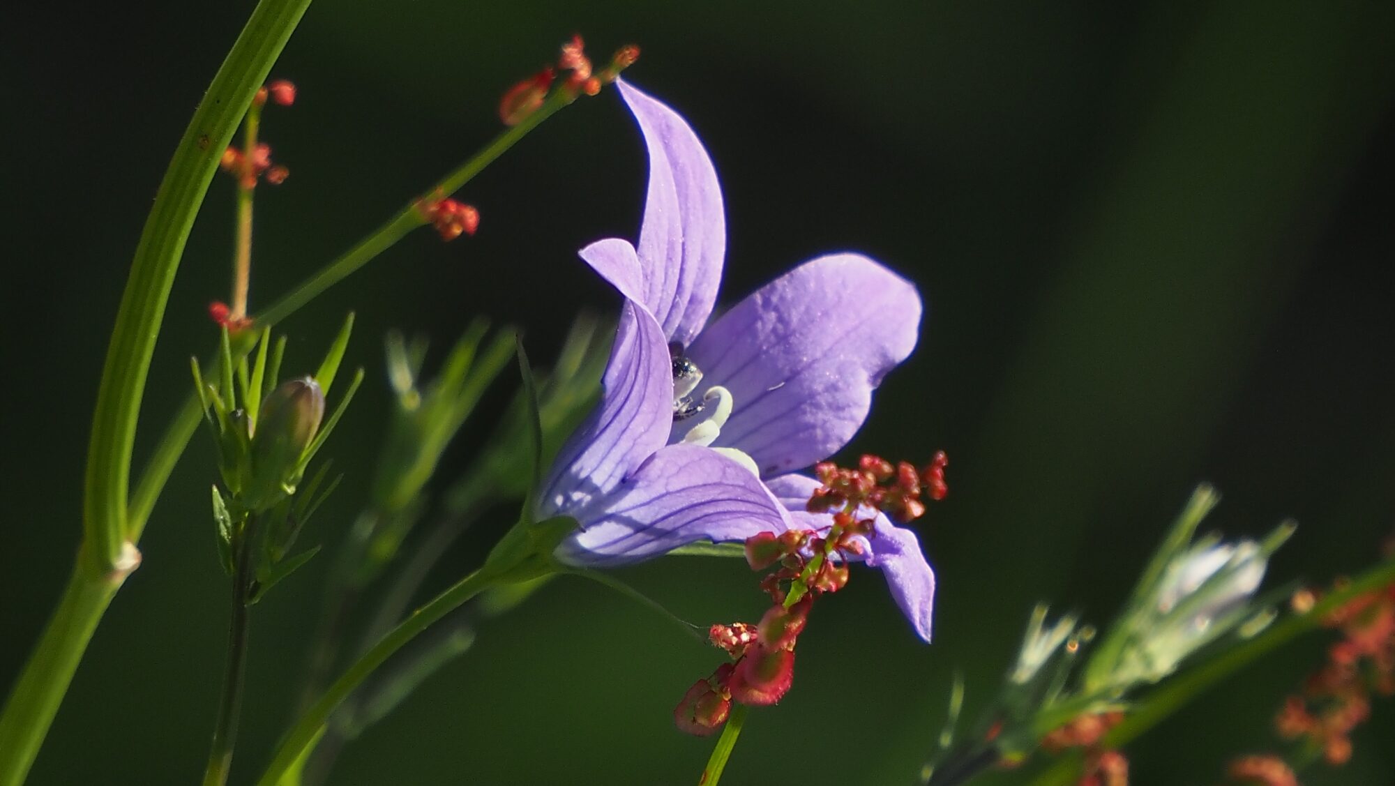 Valokuvaaja: Arja Valtonen