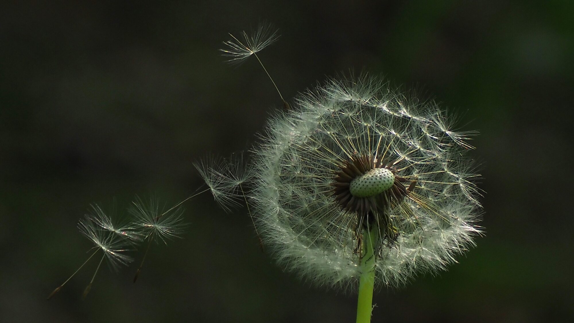 Valokuvaaja: Arja Valtonen