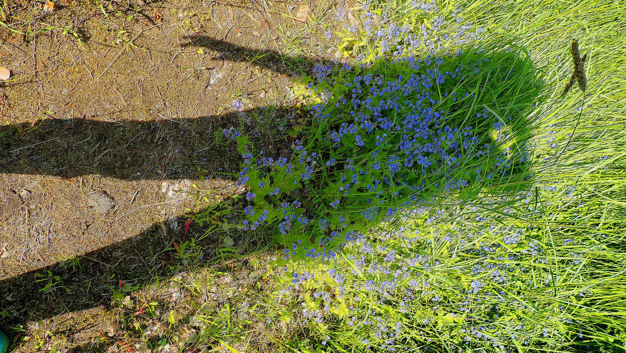 Valokuvaaja: Arja Valtonen