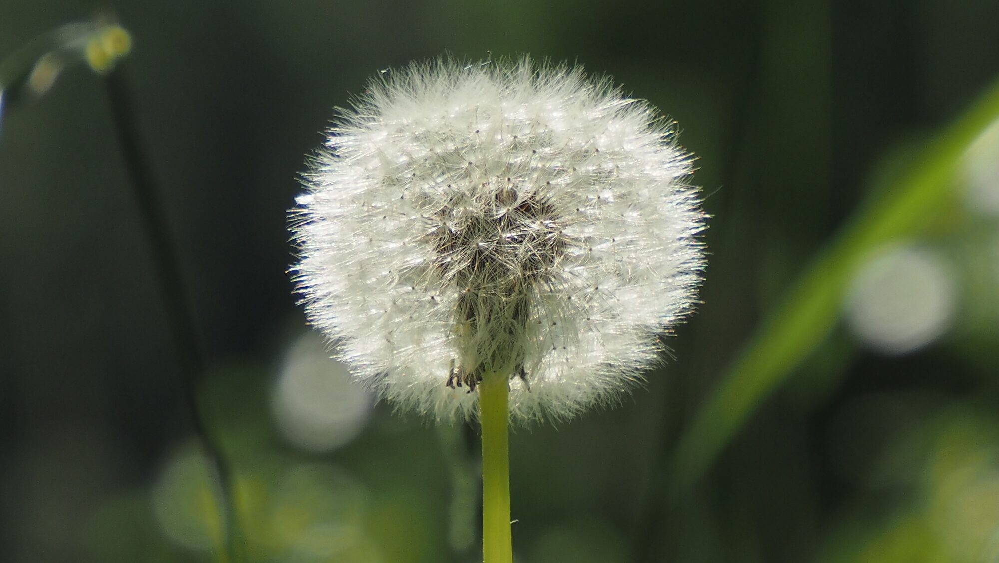 Valokuvaaja: Arja Valtonen