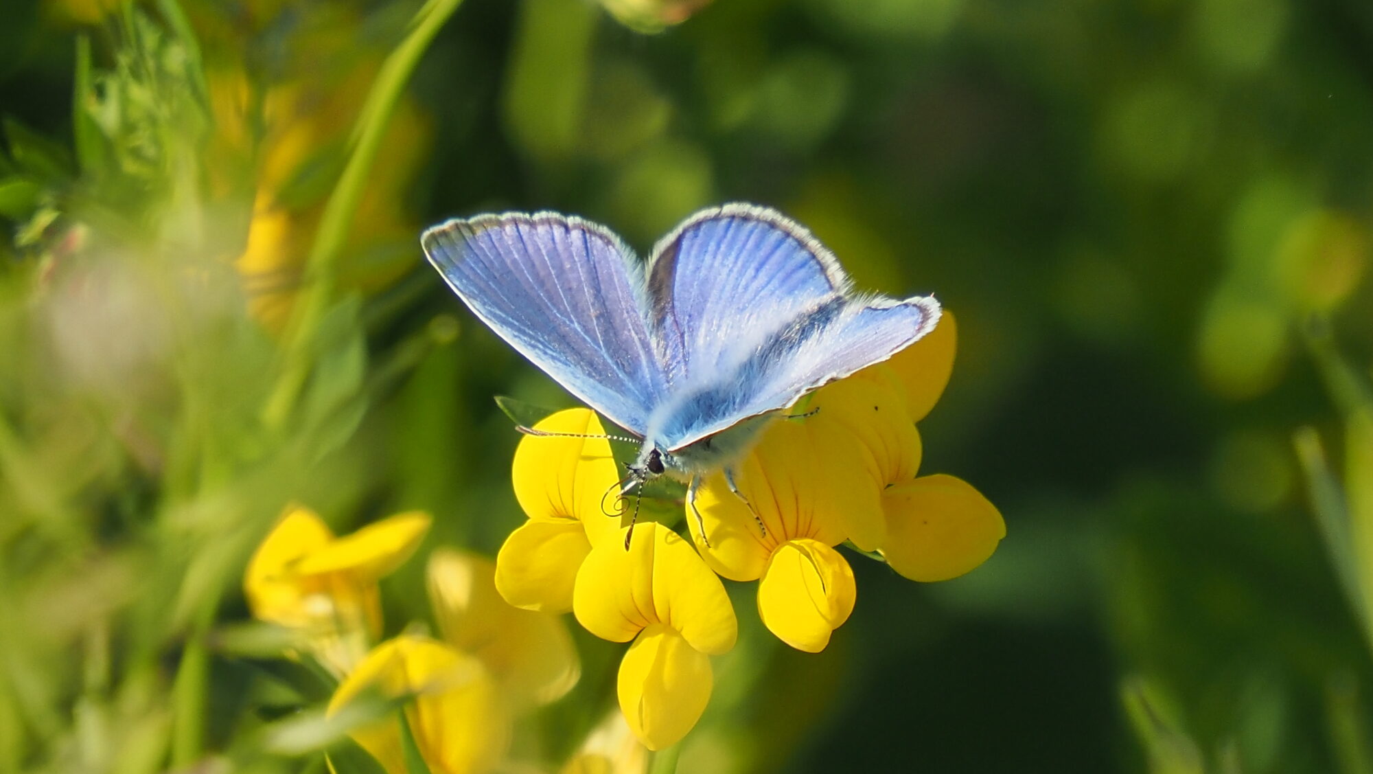 Valokuvaaja: Arja Valtonen Valokuvaaja: Arja Valtonen