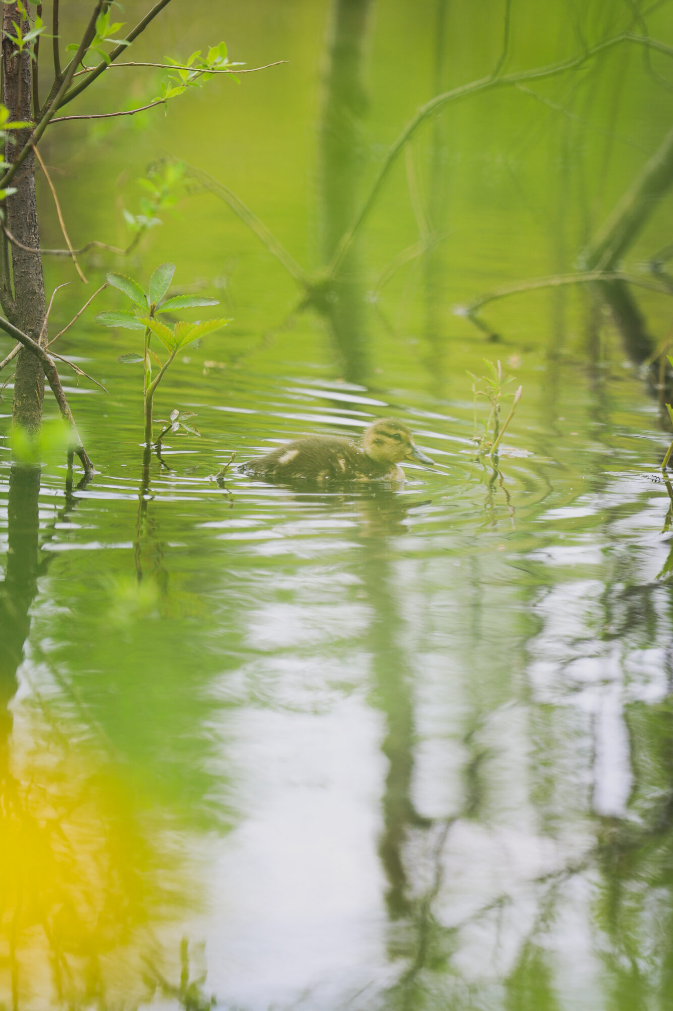 Valokuvaaja: Johanna Lempinen Valokuvaaja: Johanna Lempinen