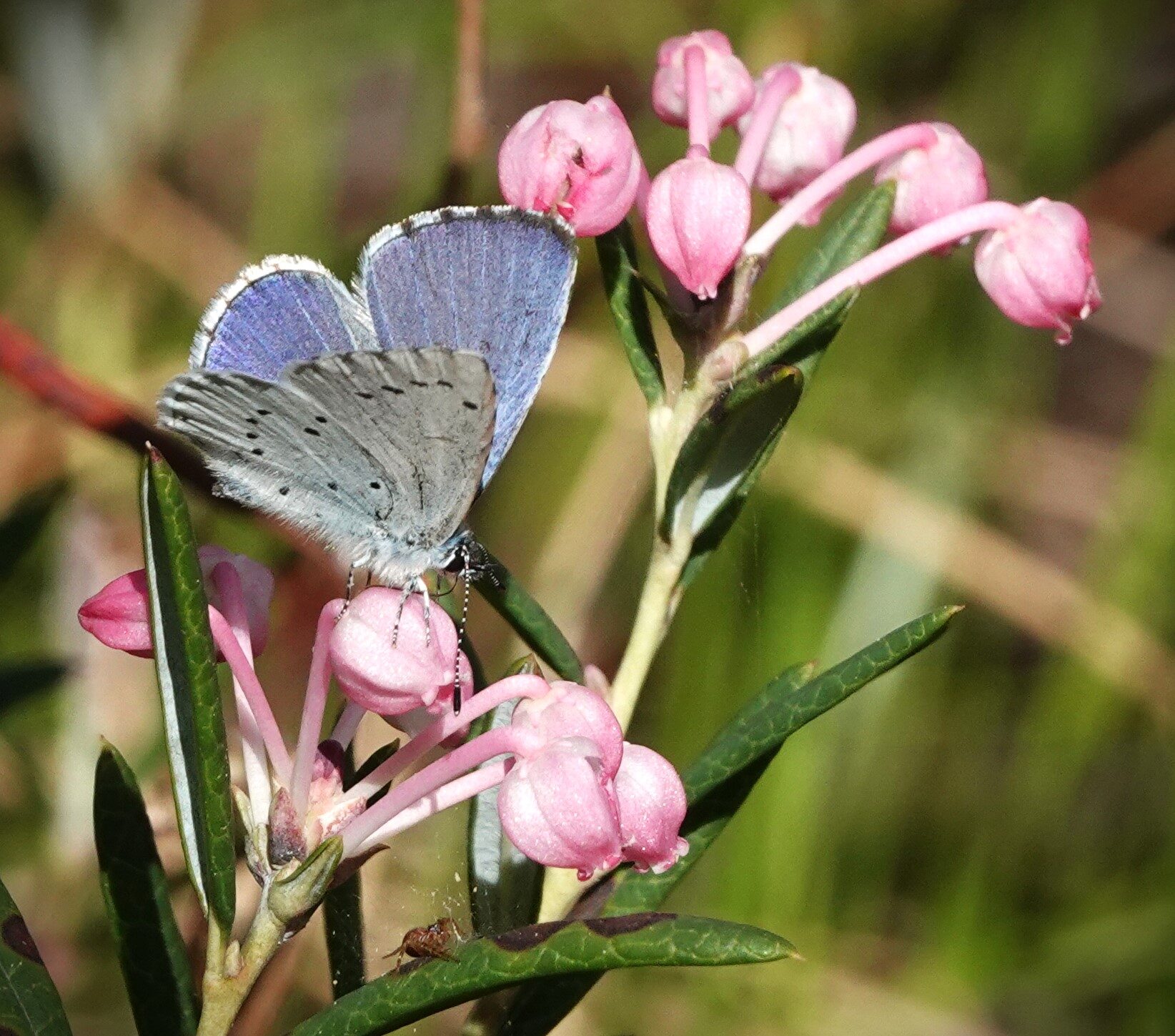 Valokuvaaja: Kaarina Heiskanen