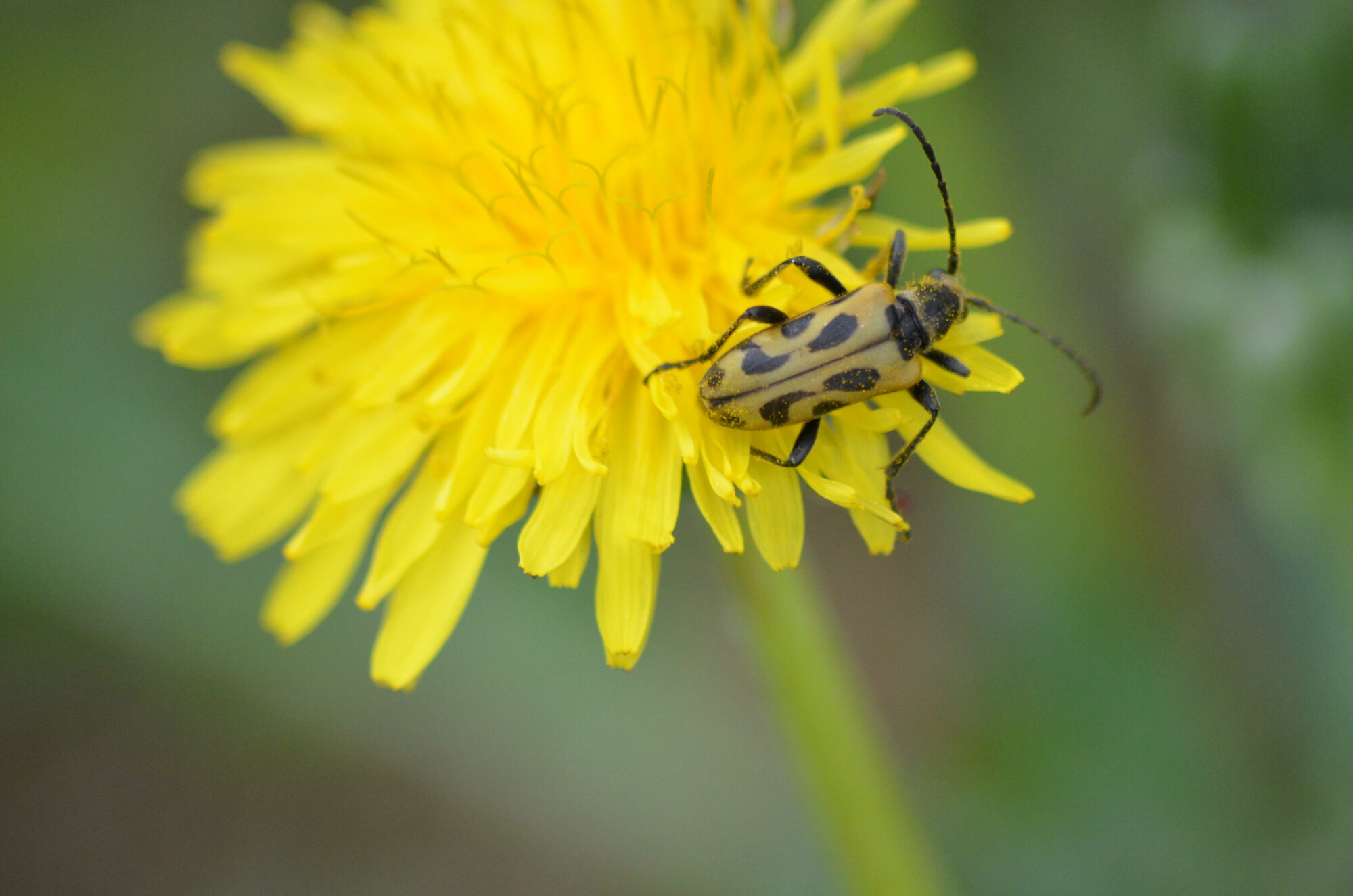 Valokuvaaja: Toni Asikainen