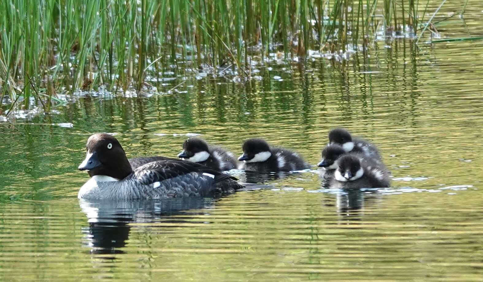 Valokuvaaja: Kaarina Heiskanen Valokuvaaja: Kaarina Heiskanen