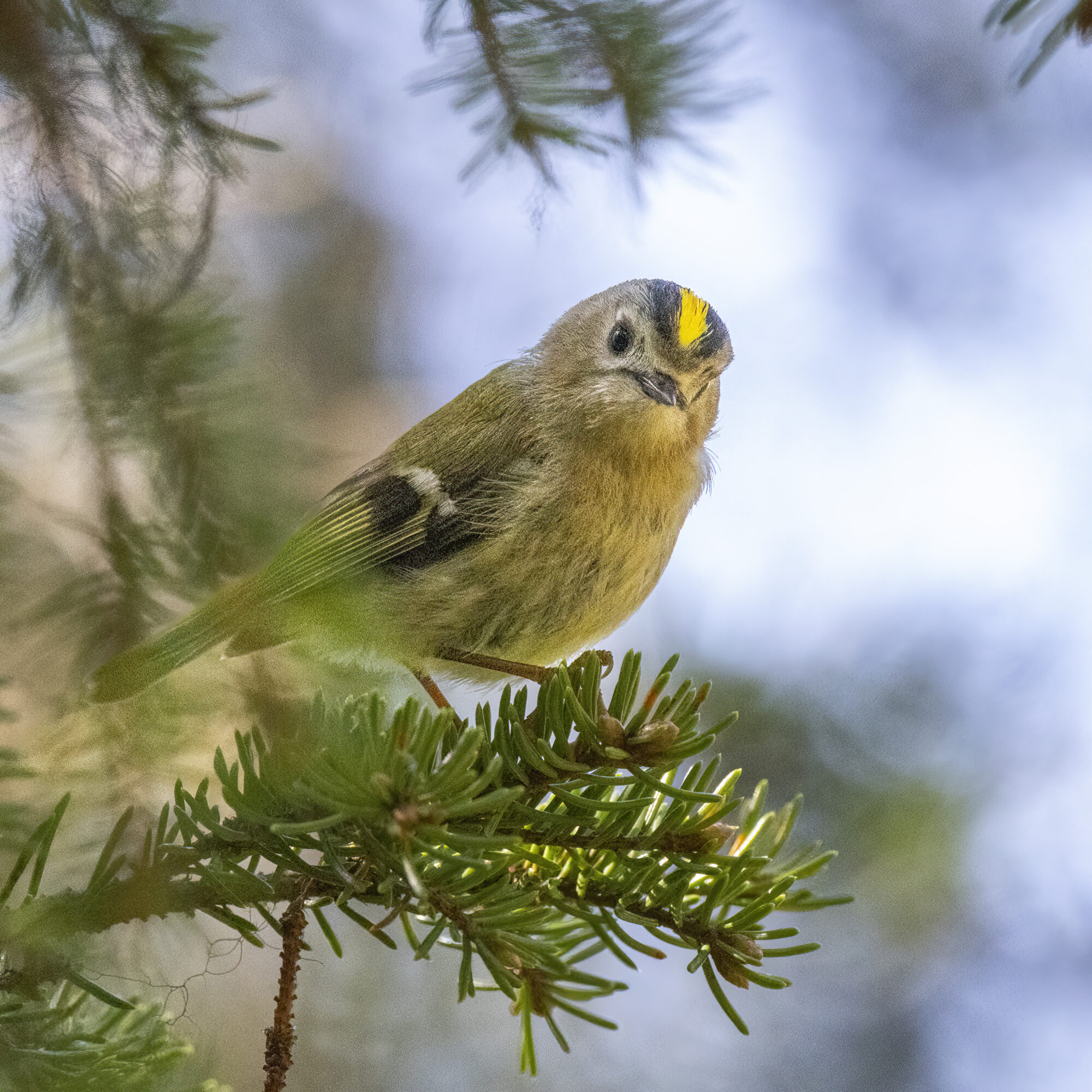 Valokuvaaja: Hannu Tikkanen
