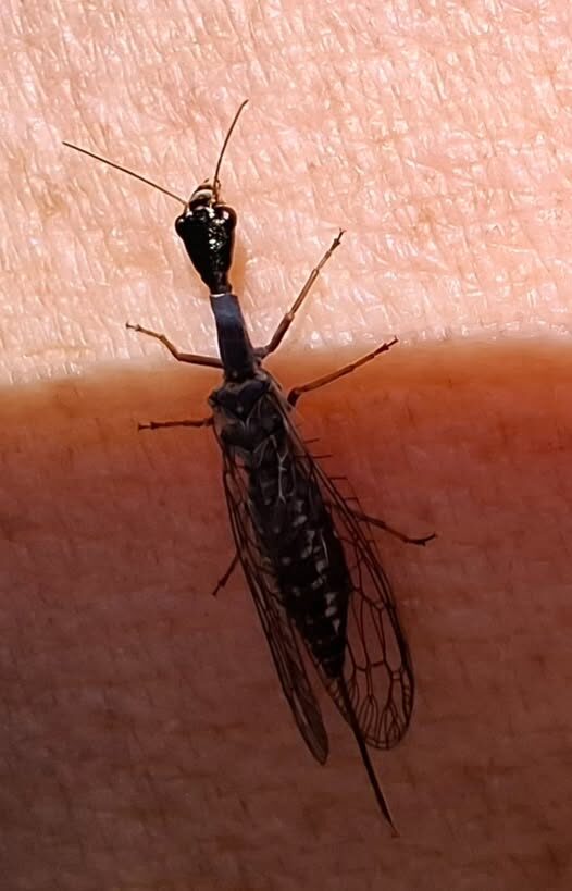 Valokuvaaja: Ari Jalokinos Valokuvaaja: Ari Jalokinos