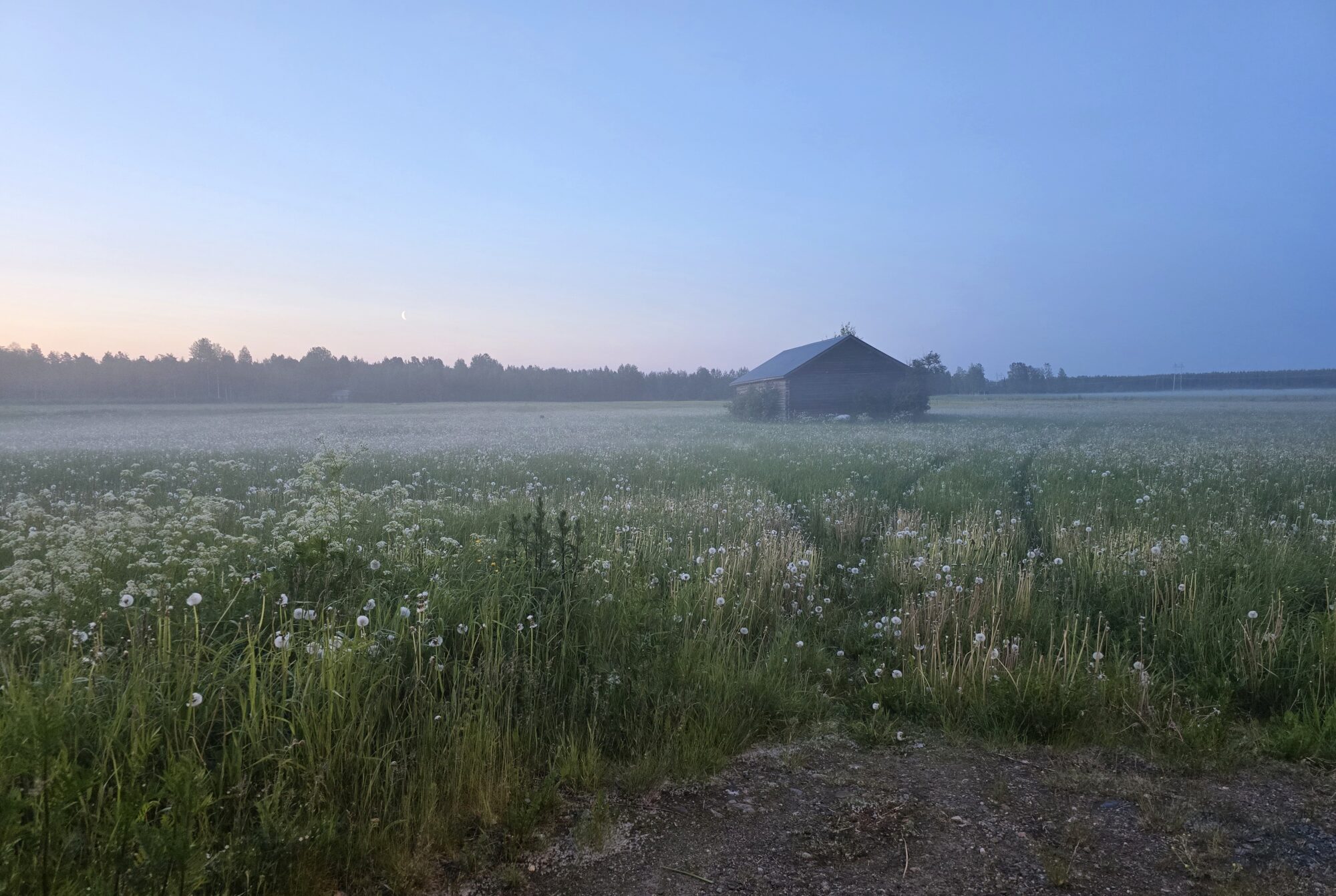 Valokuvaaja: Jaana Saarelainen