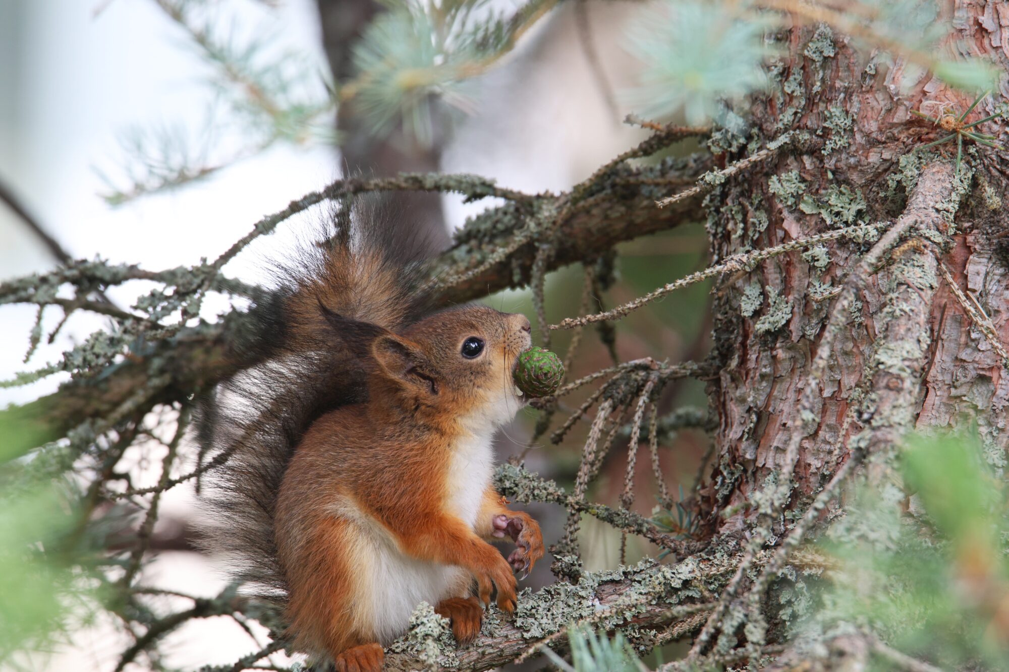 Valokuvaaja: Jaana Saarelainen Valokuvaaja: Jaana Saarelainen