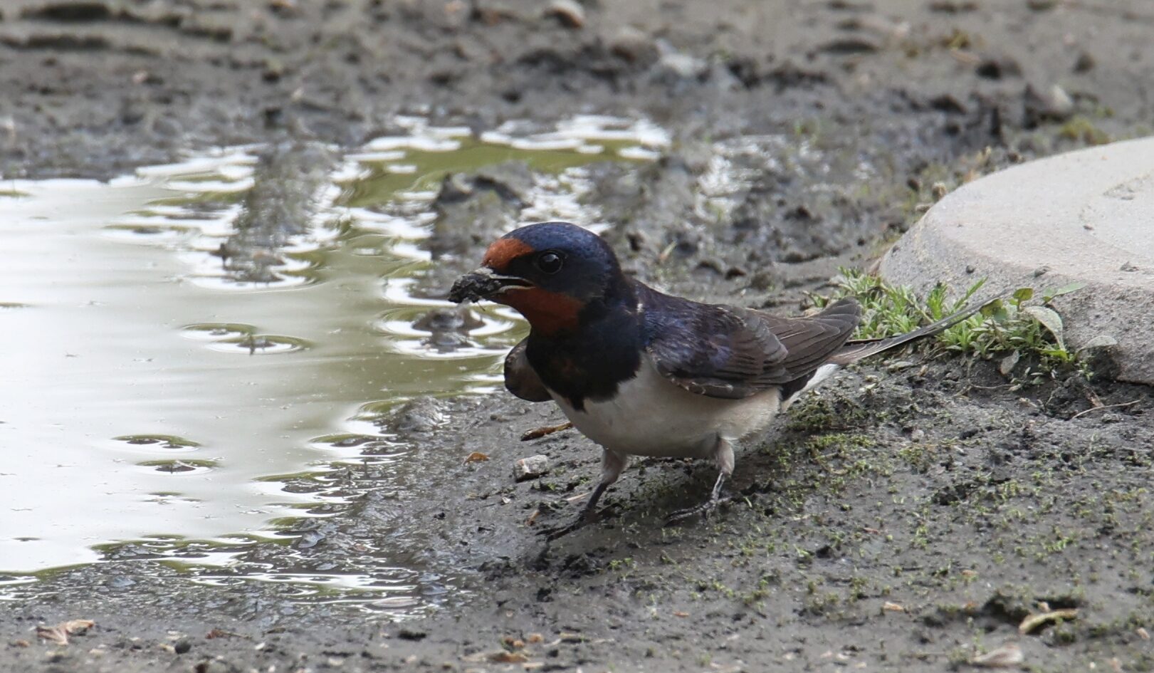 Valokuvaaja: Jaana Saarelainen