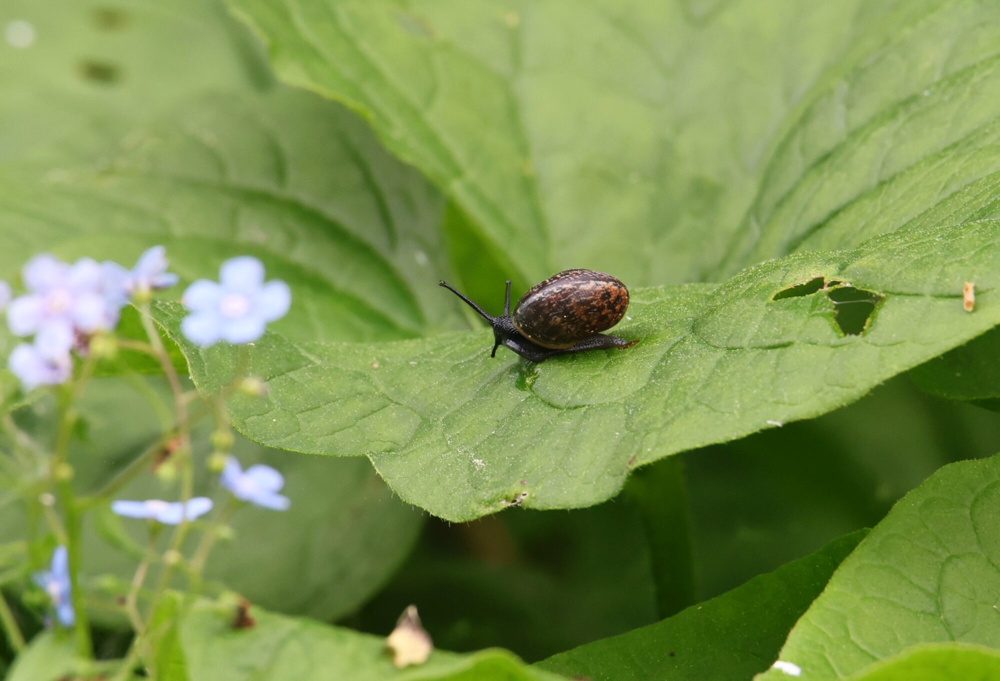 Valokuvaaja: Jaana Saarelainen