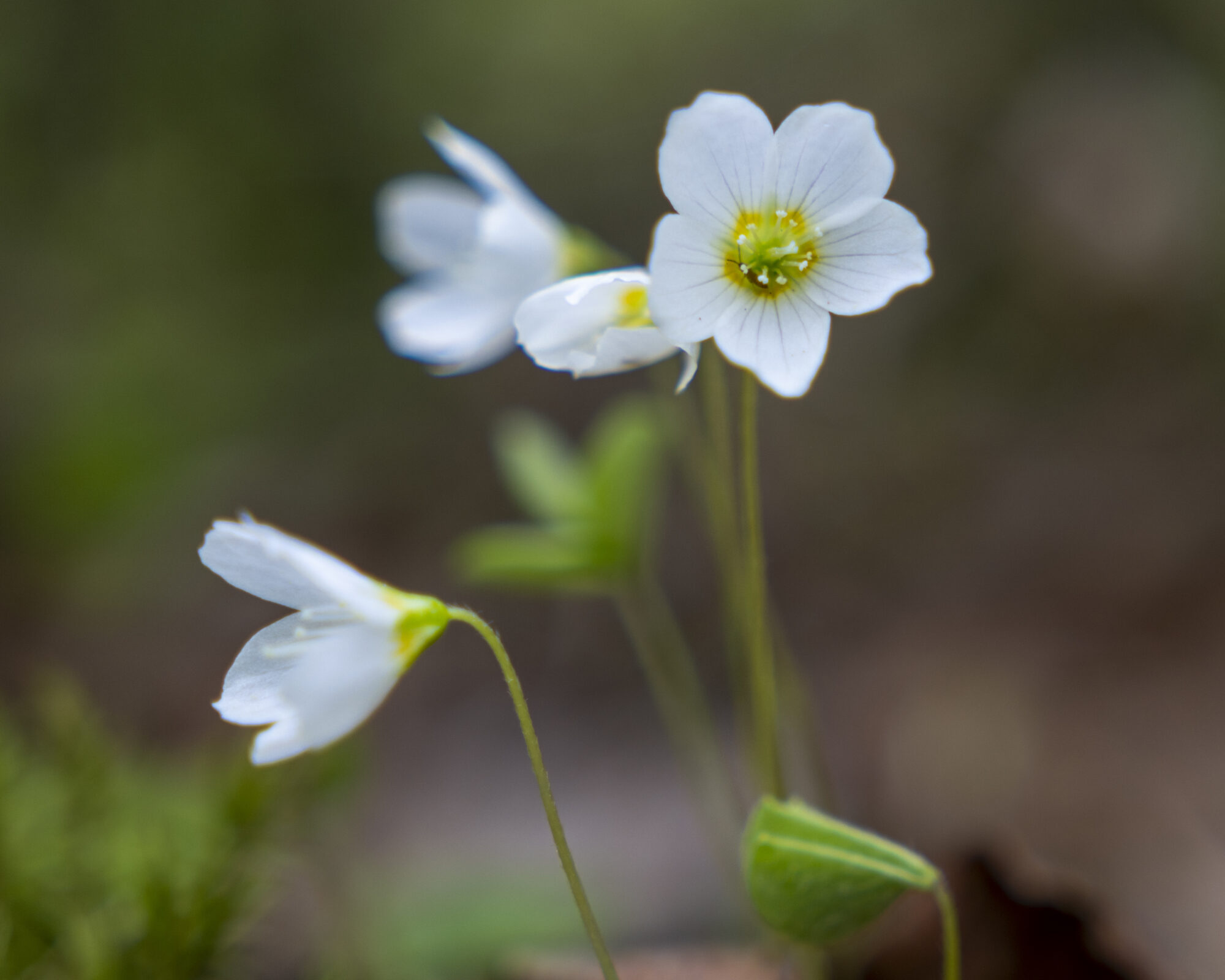Valokuvaaja: Hannu Tikkanen