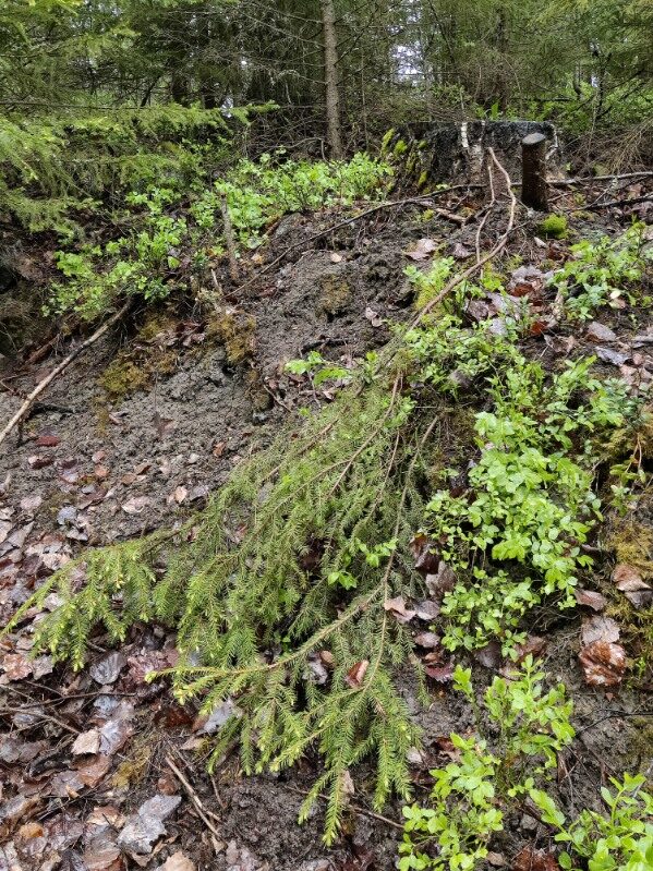 Valokuvaaja: Marita Lahtinen