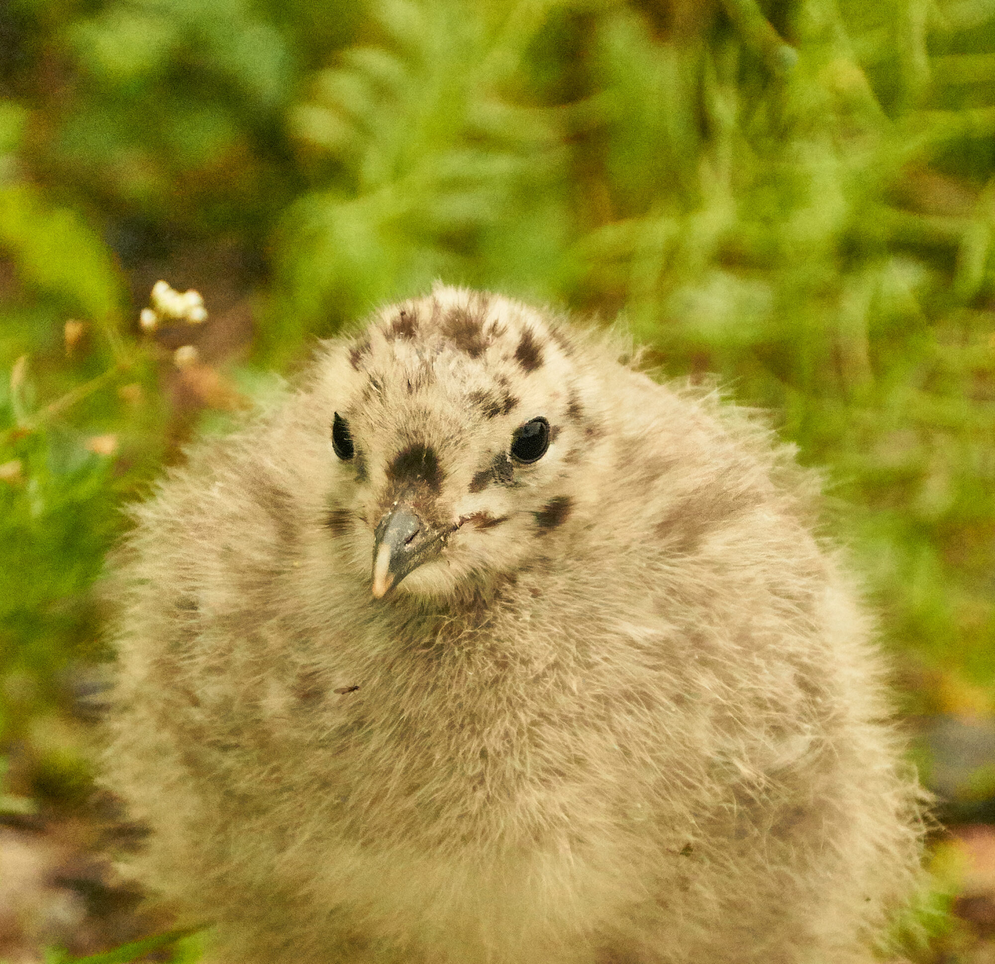 Valokuvaaja: Tarja Kouvo