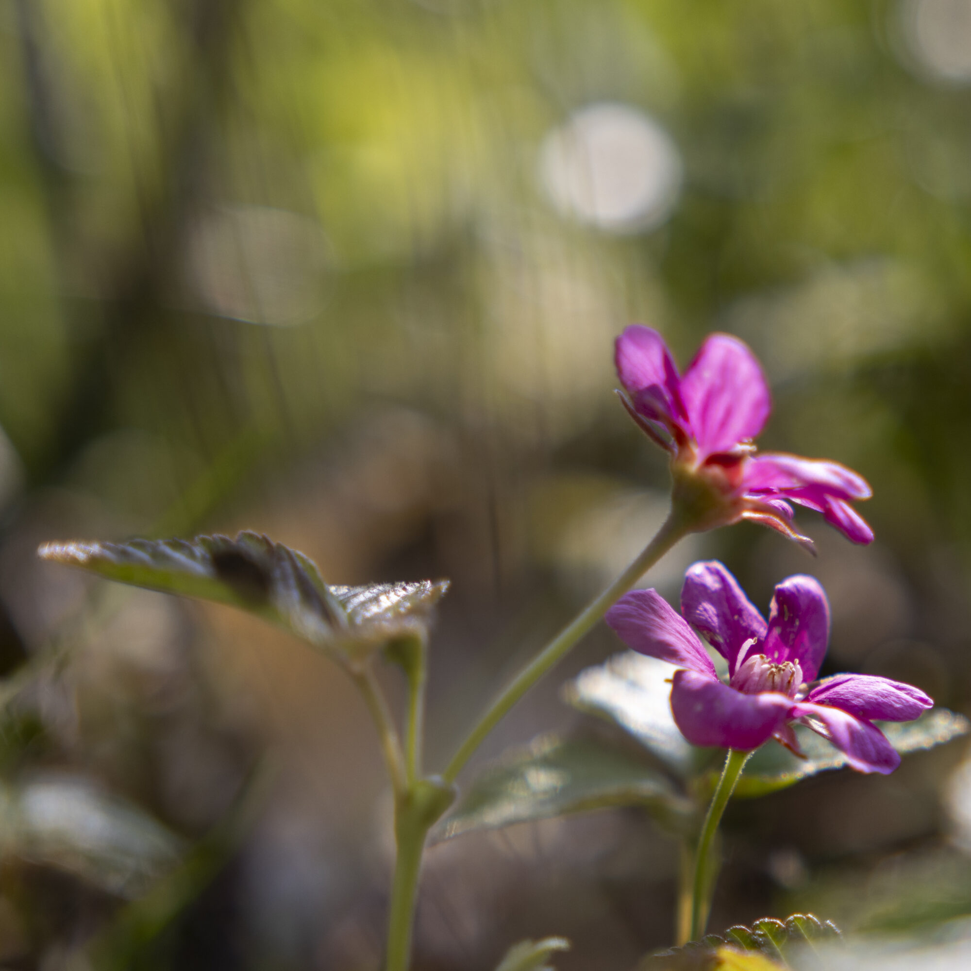 Valokuvaaja: Hannu Tikkanen