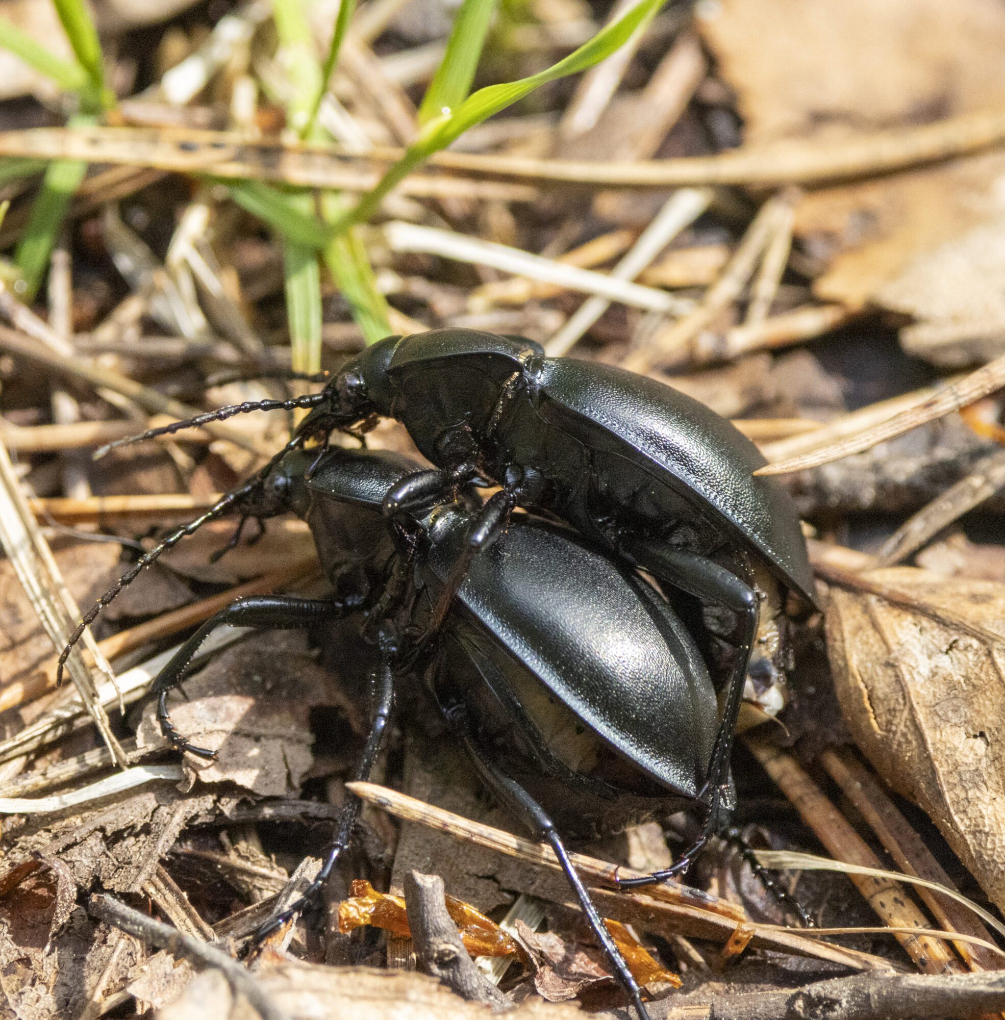 Valokuvaaja: Hannu Tikkanen