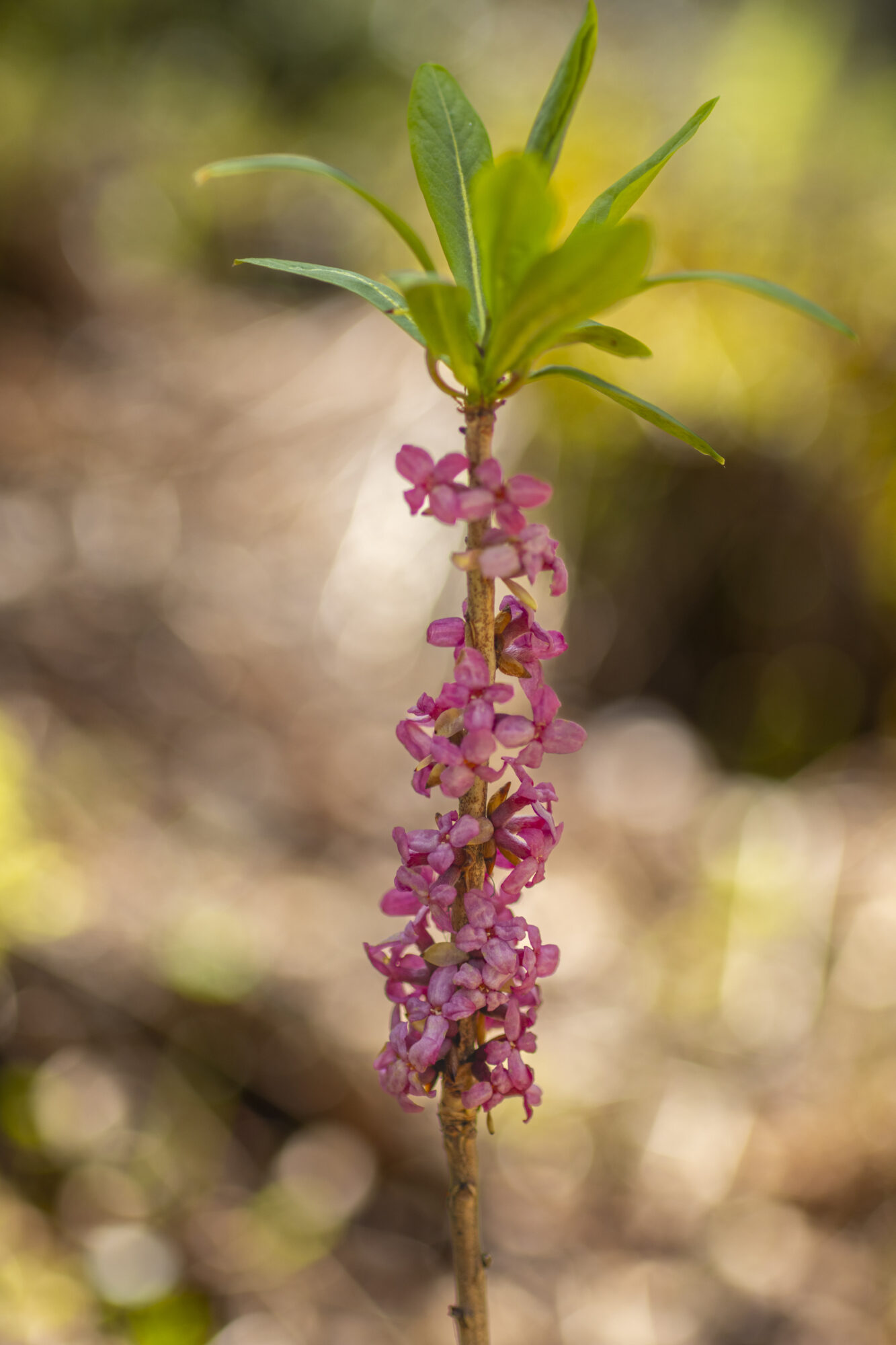 Valokuvaaja: Hannu Tikkanen